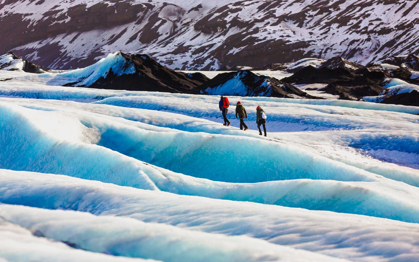Reykjavik: South Coast & Solheimajokull Glacier Hike