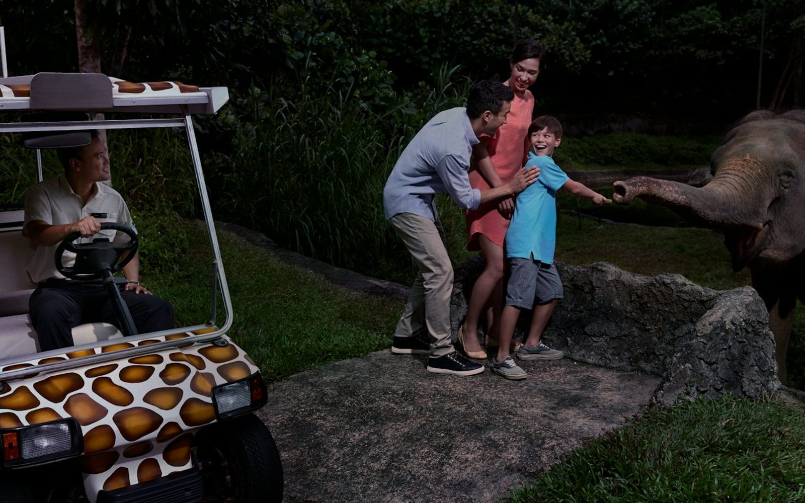 Singapore Night Safari: Entry Ticket + Roundtrip Transport