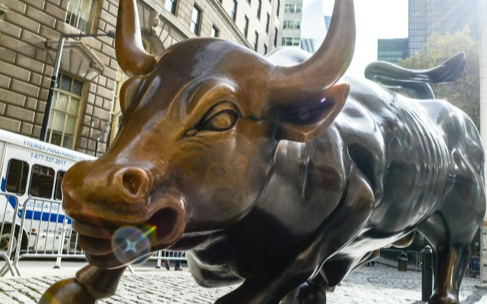 New York: Financial District Guided Tour in French