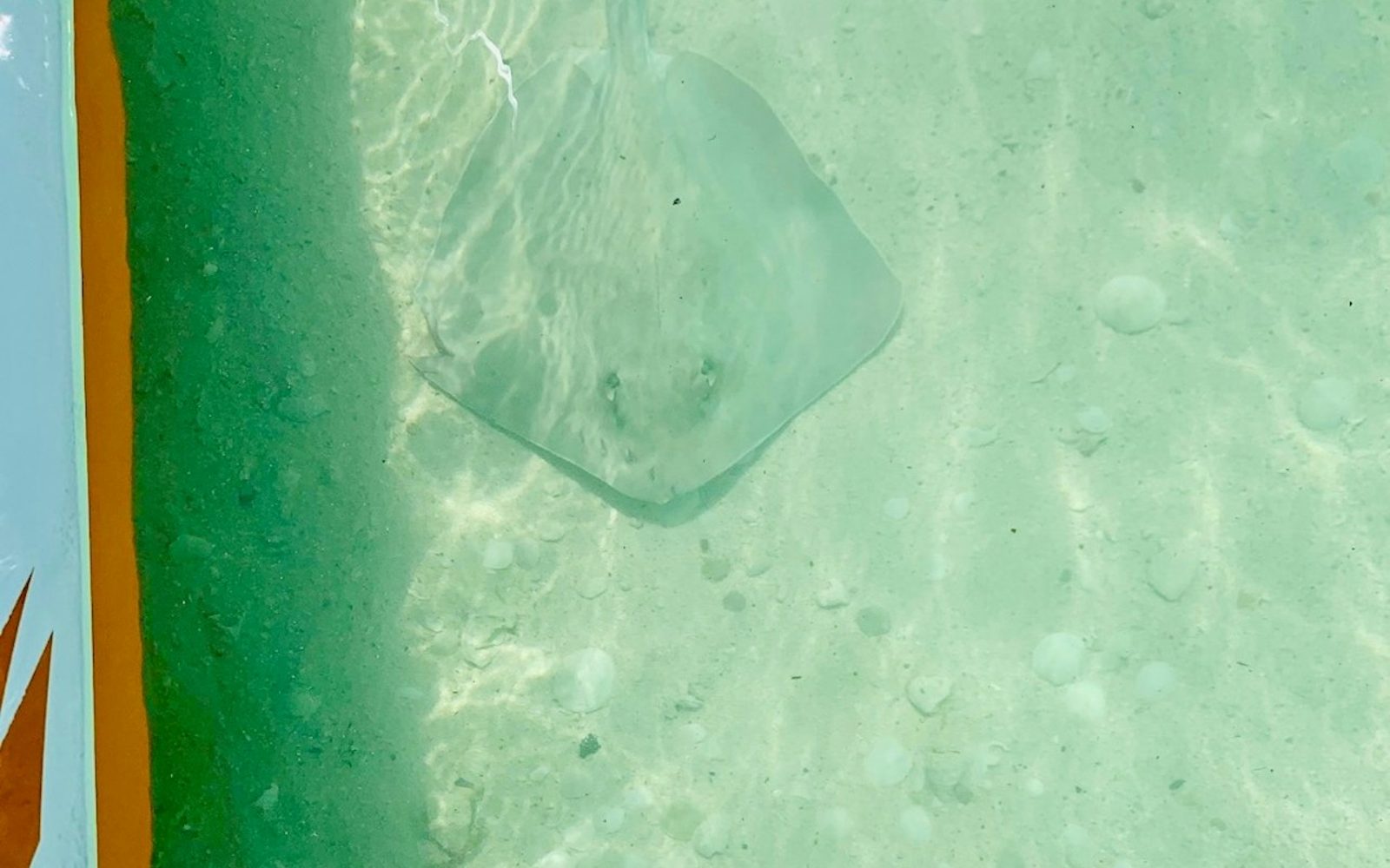 Private Snorkeling Charter