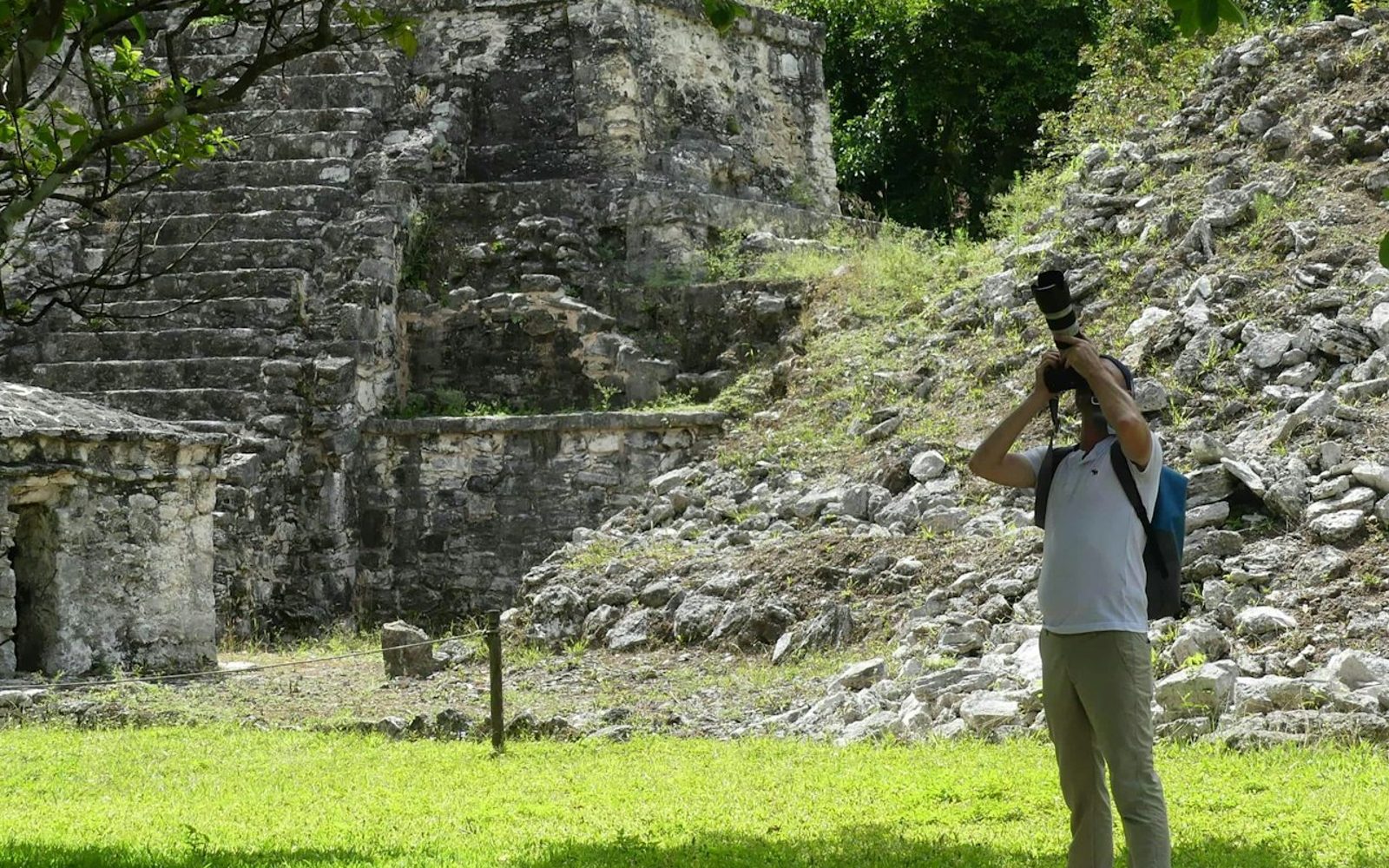 Muyil: Guided Bird Watching Tour + Breakfast + Transfer
