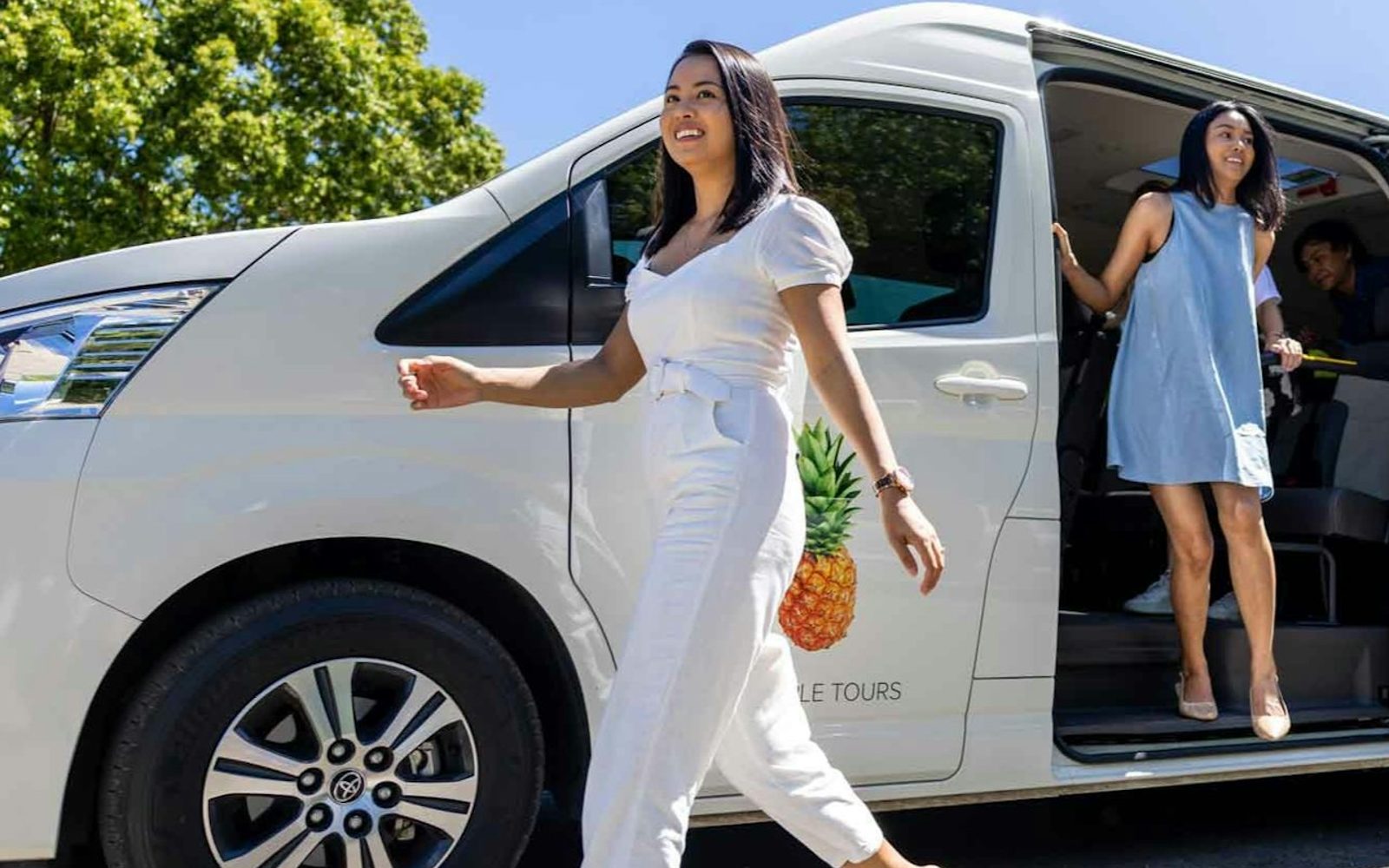 Tamborine Mountain: Guided Hop-on Hop-off Bus Tour from Brisbane + Wine Tasting