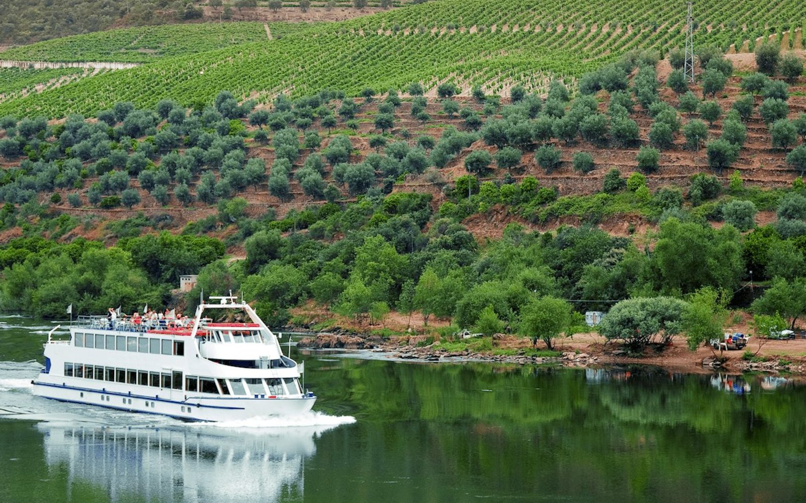 Douro Valley: River Cruise + Breakfast & Lunch from Porto