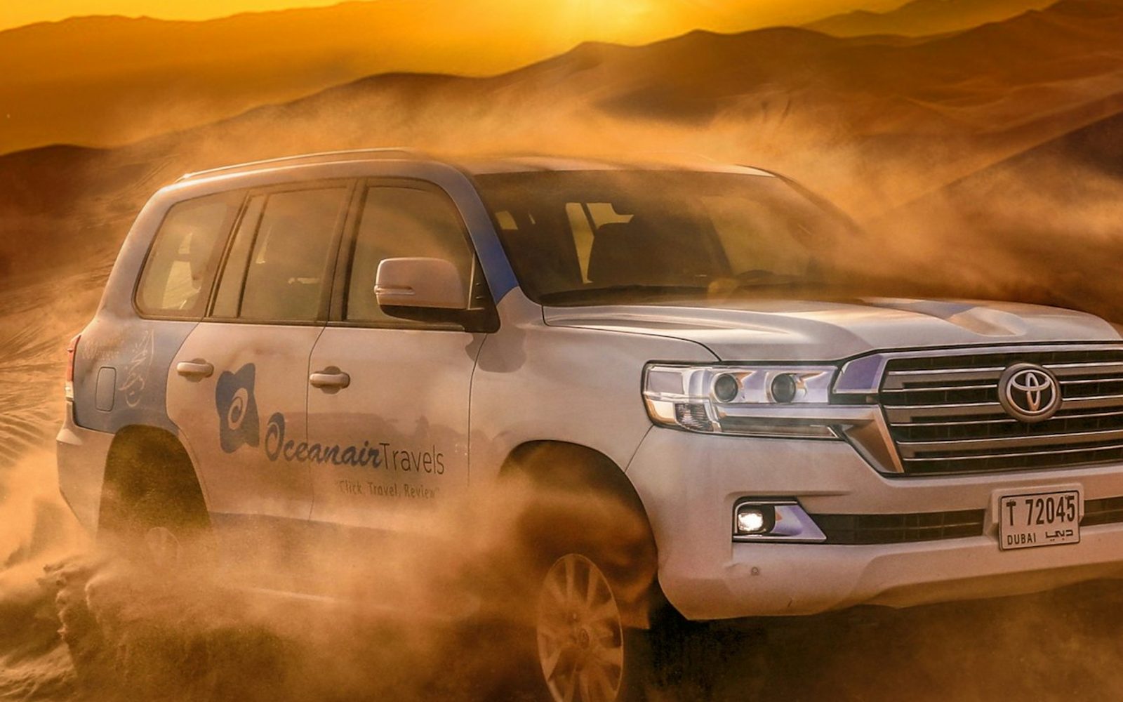 Premium Desert Safari: Camel Ride, Falconry and BBQ Dinner at Al Khayma Camp