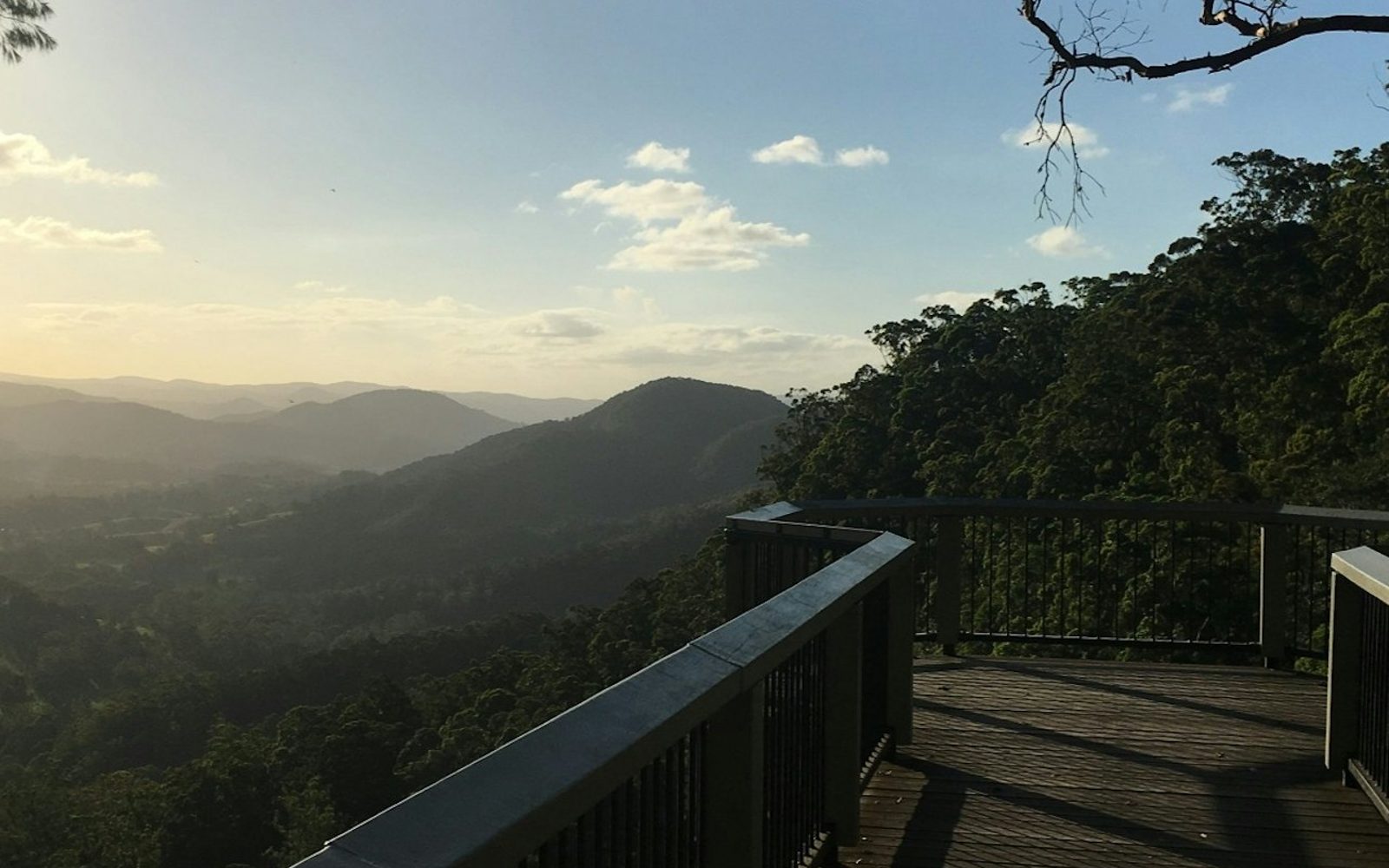 Sunshine Coast Hinterland Day Tour: Scenic, Food, Cheese and Wine Tour