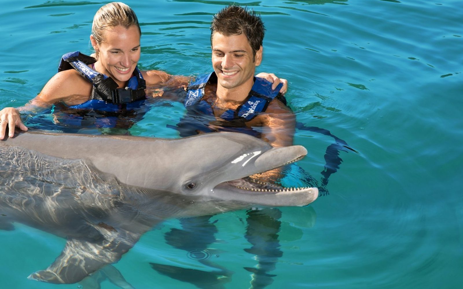 Delphinus Xel-Há: Fast Track Ticket + Hotel Pickup + Swim with Dolphins