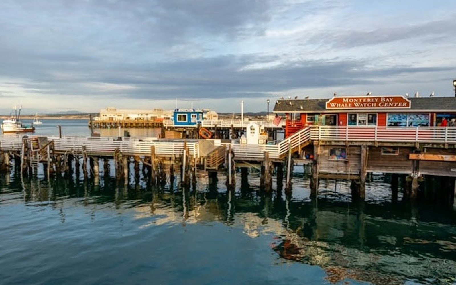 From San Francisco: Full Day Monterey and Carmel Tour