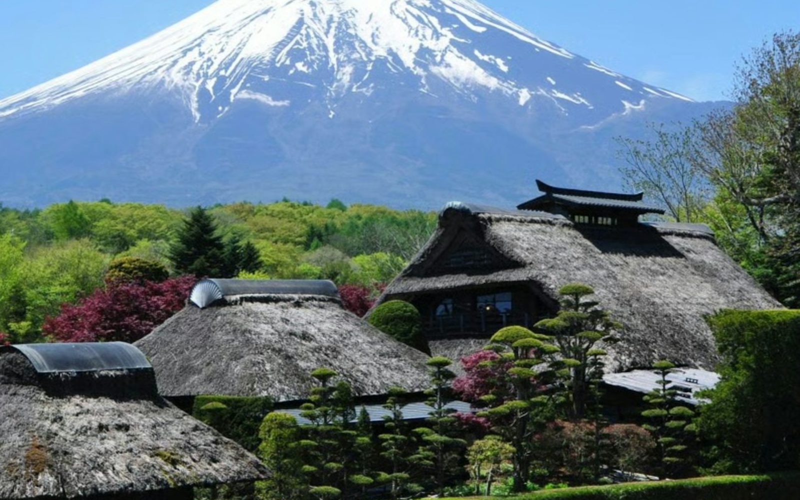 Mount Fuji, Oshino Hakkai & Gotemba Premium Outlets: Guided Bus Tour from Tokyo