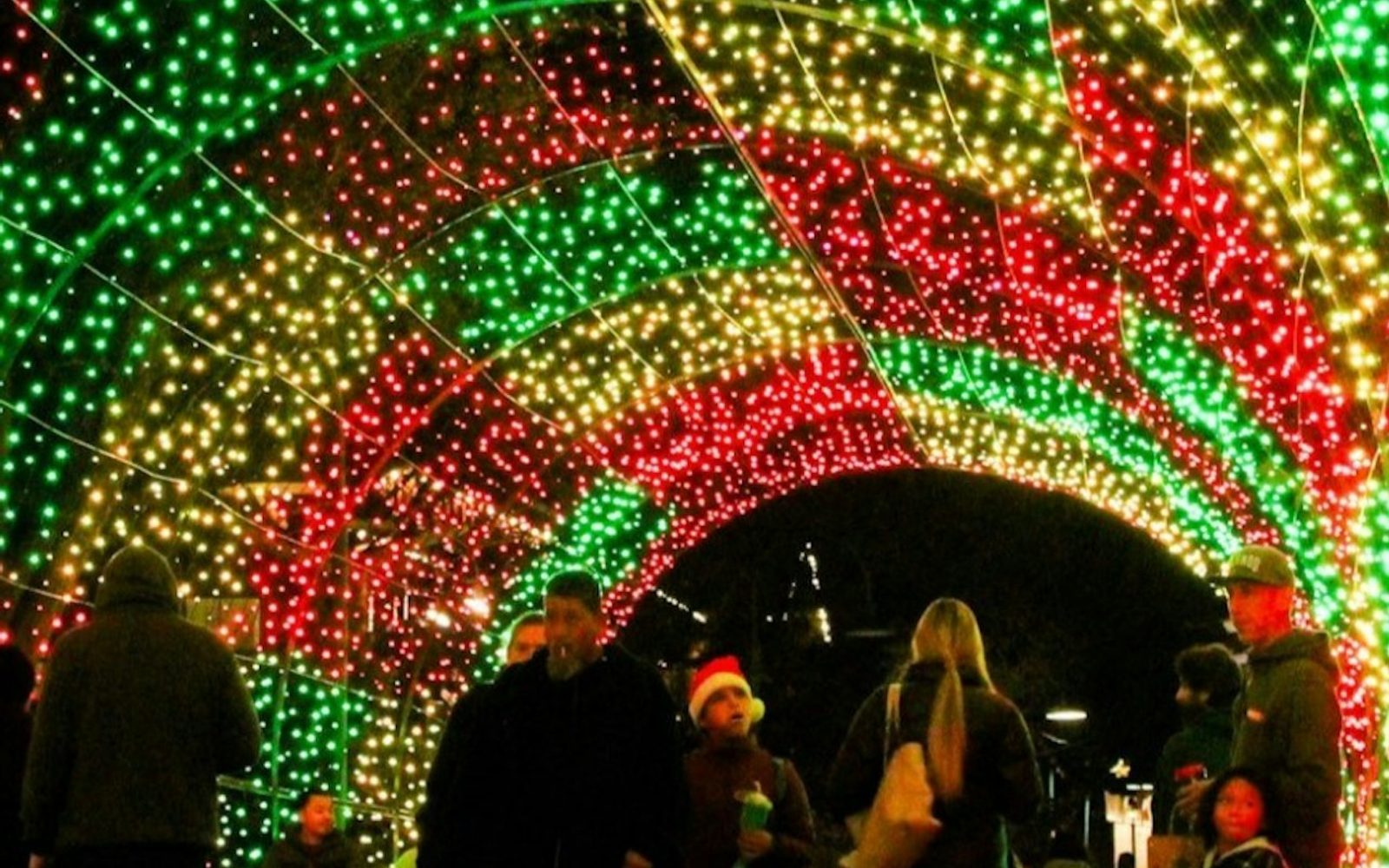 Gilroy Gardens: North Pole Lights