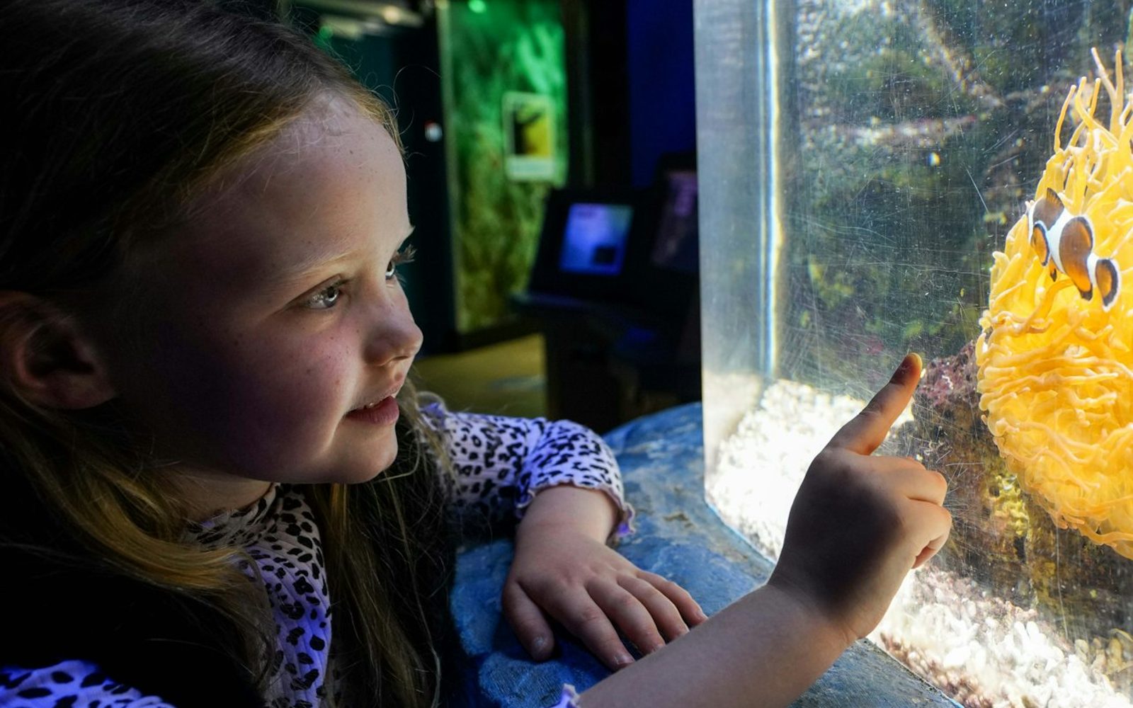 SEA LIFE Great Yarmouth: Entry Ticket