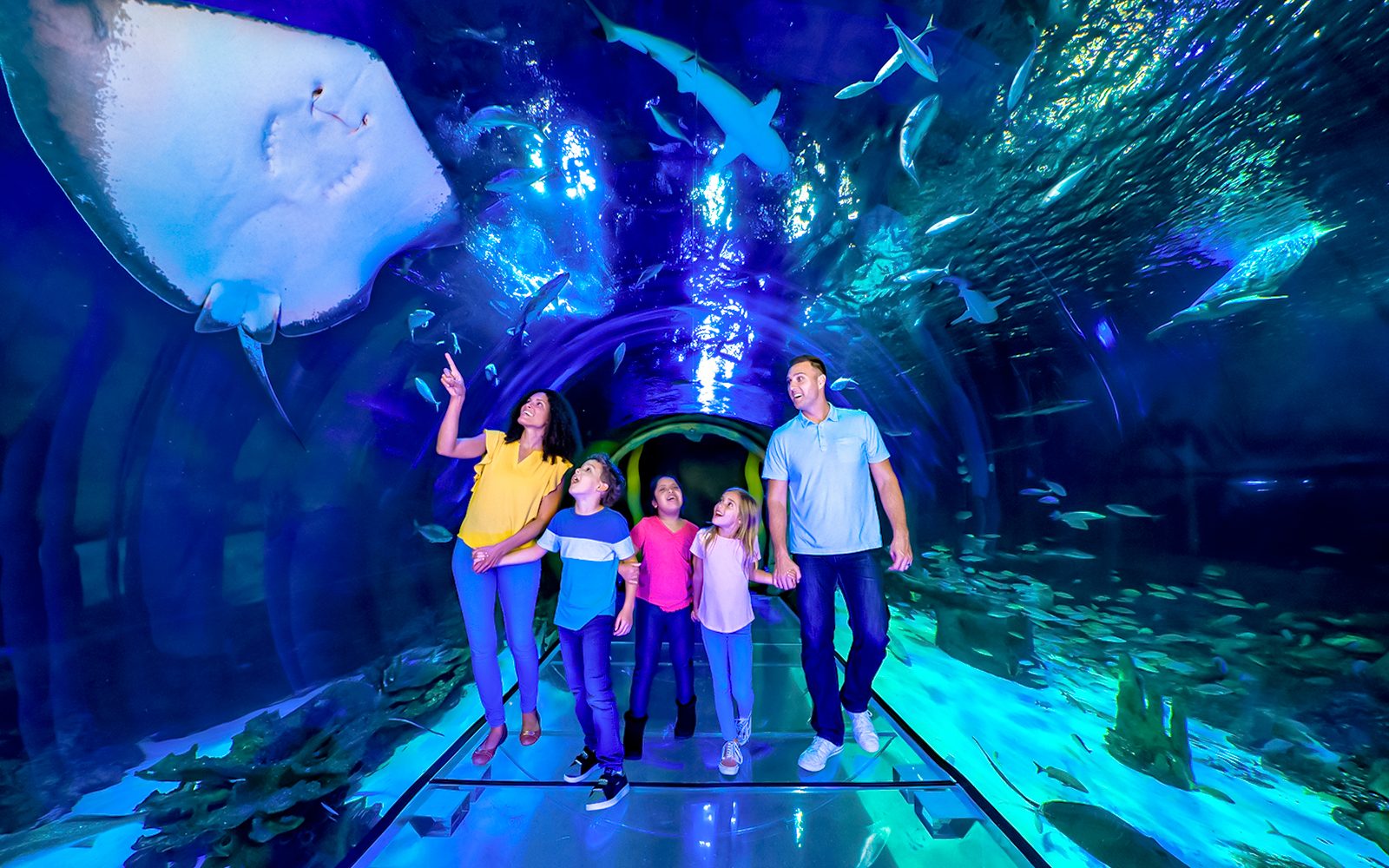 SEA LIFE Orlando Aquarium Admission Tickets