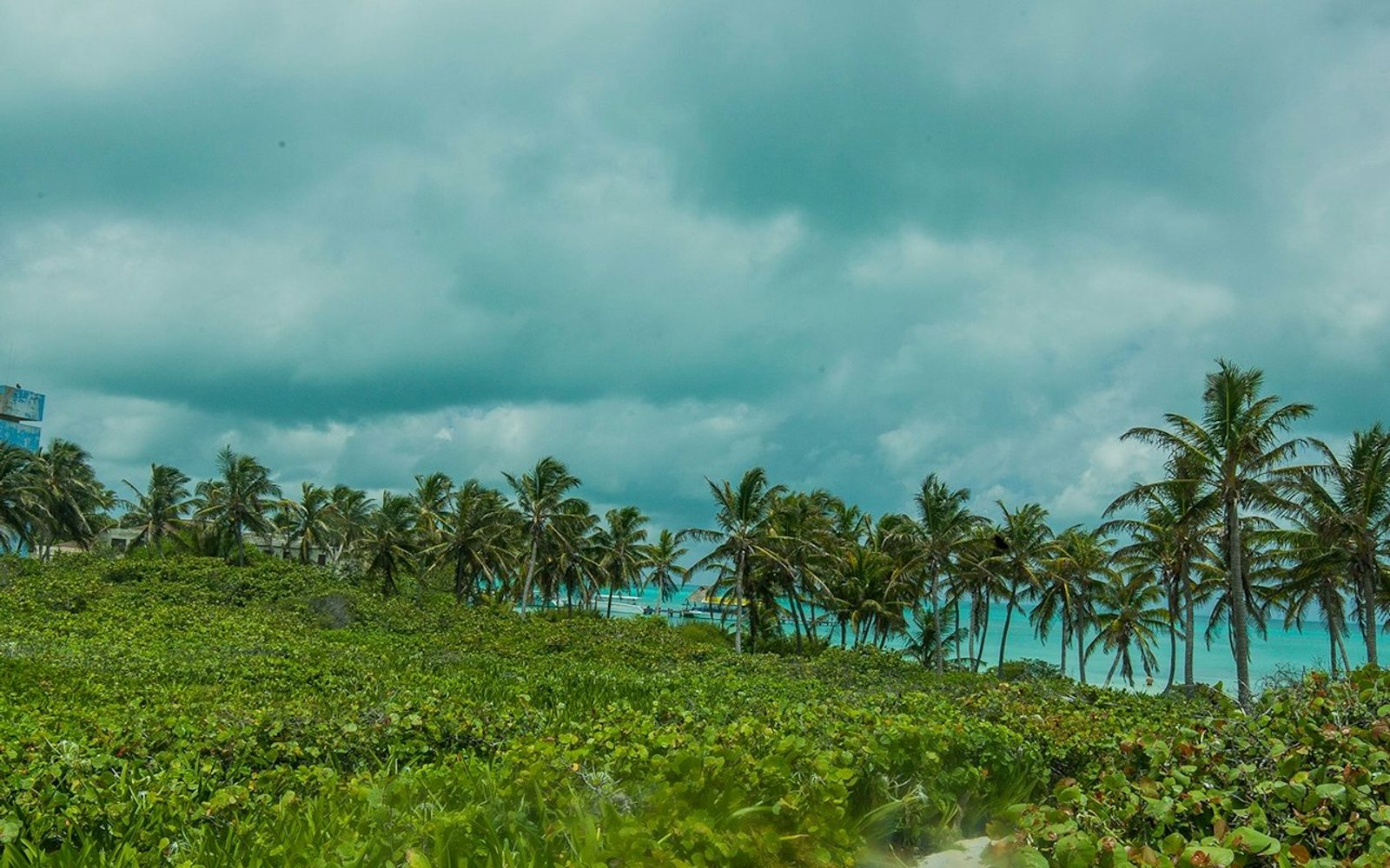 Isla Contoy & Isla Mujeres: Boat and Snorkel Tour from Cancún