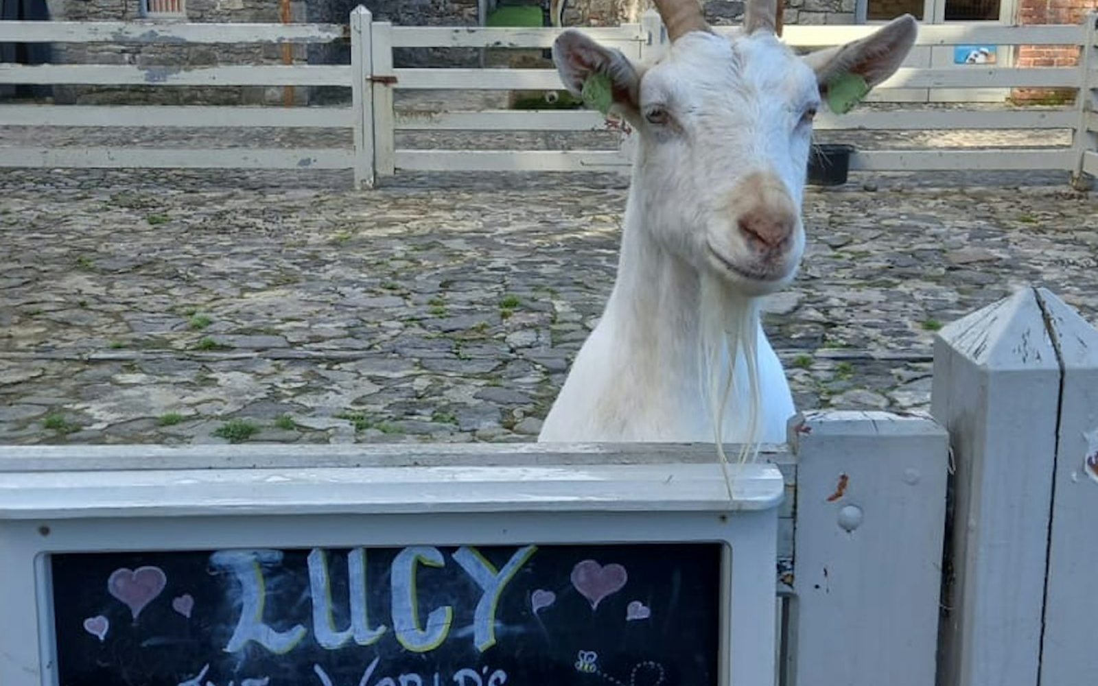 Newbridge Heritage Farm: Entry Ticket