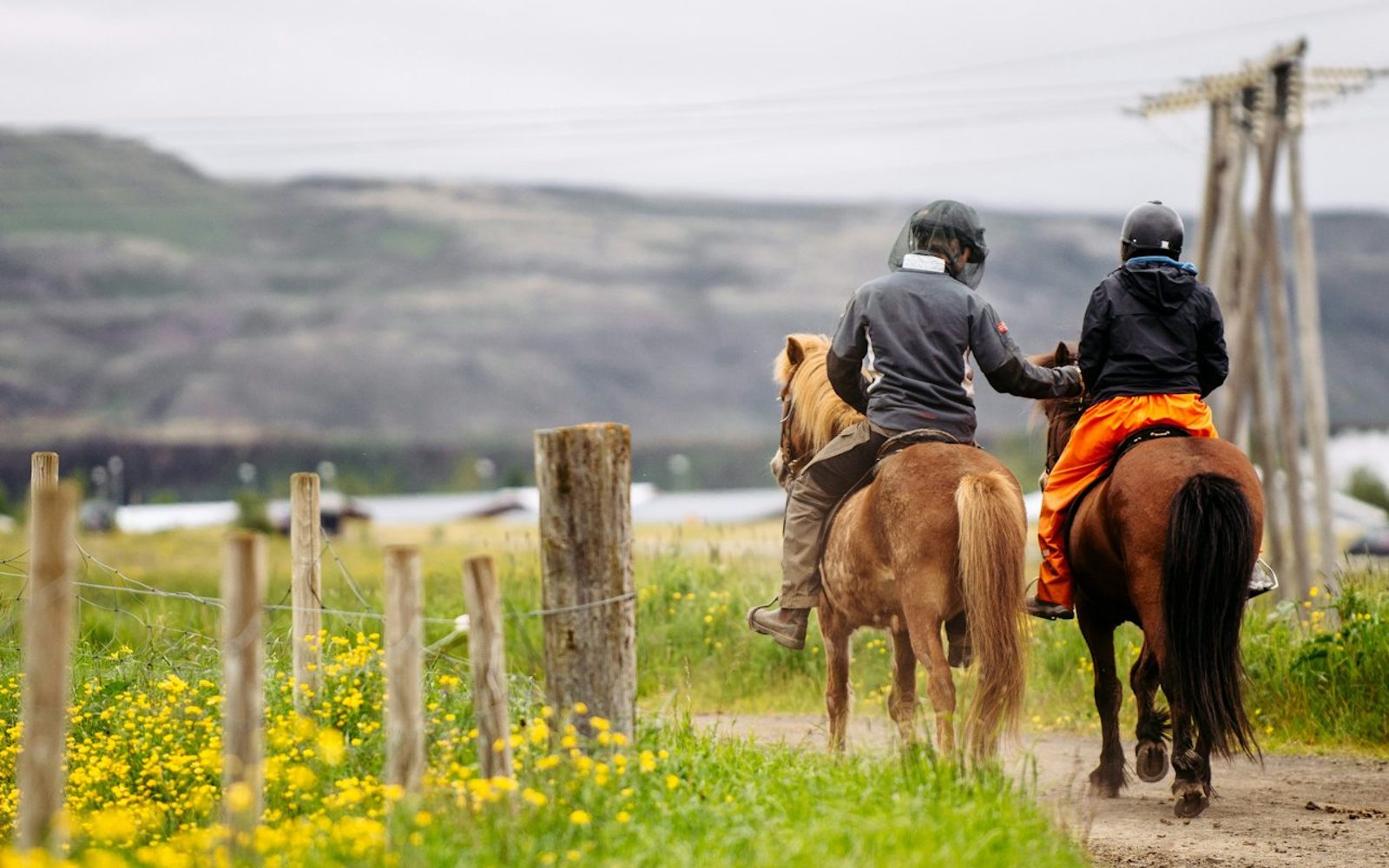 Iceland: Horseback Riding - Countryside Tour