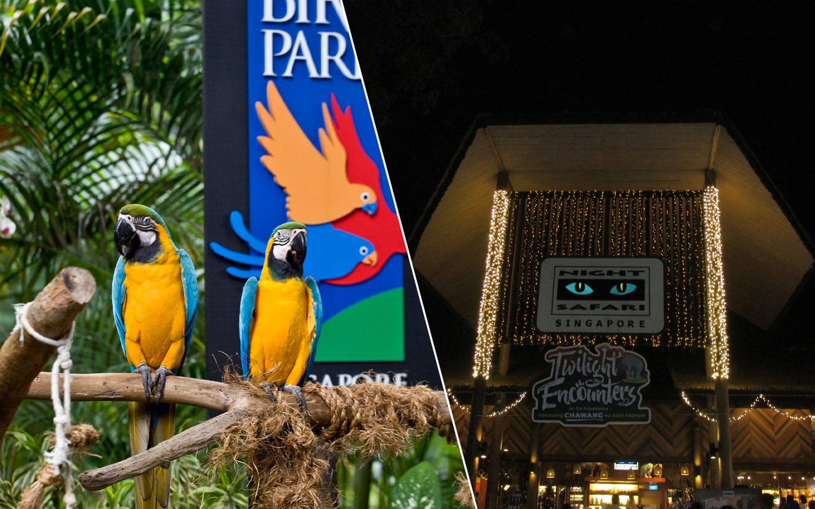 2-Park Destination Pass: Night Safari + Bird Paradise