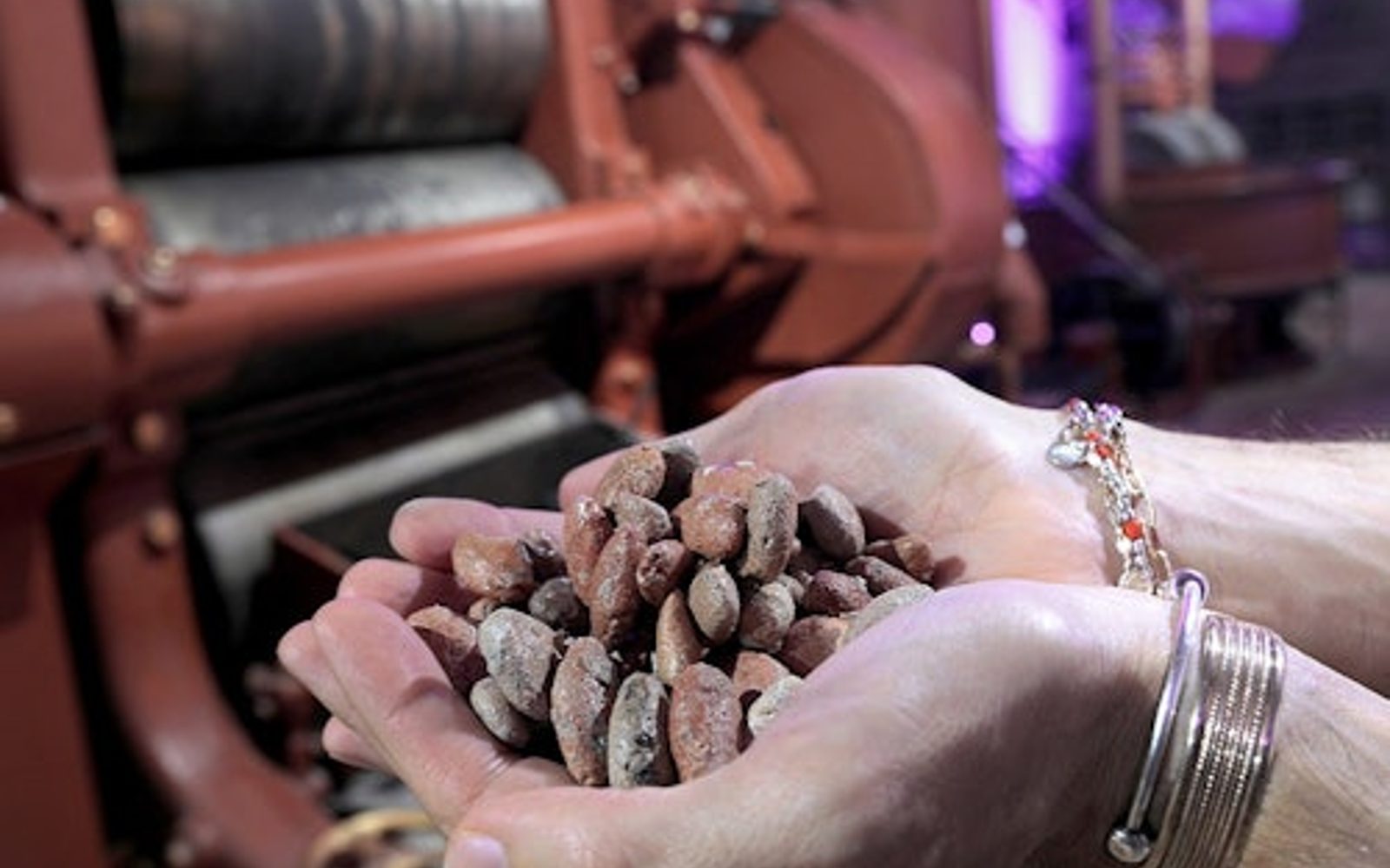 Turin: Choco-Story Tour + Audio Guide + Chocolate Tasting