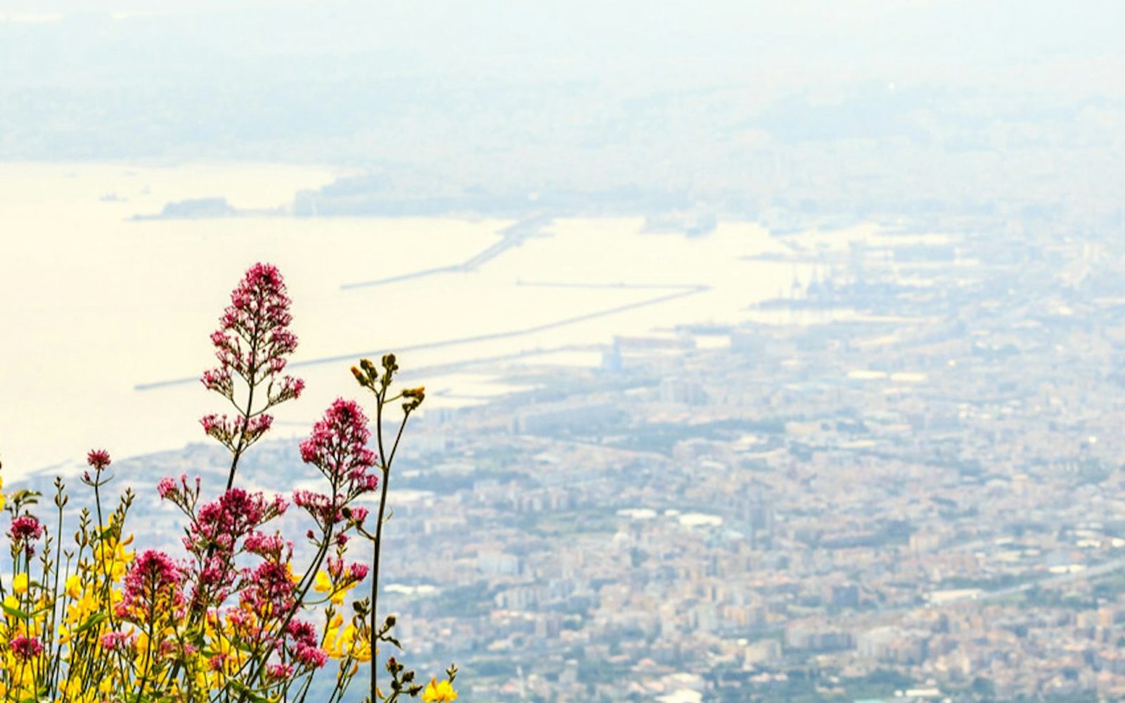 Mount Vesuvius: Skip The Line Ticket + Roundtrip from Naples