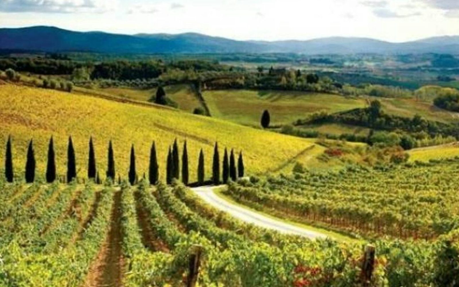 Chianti, Montalcino & San Gimignano: Wine Tasting + Day Trip from Siena