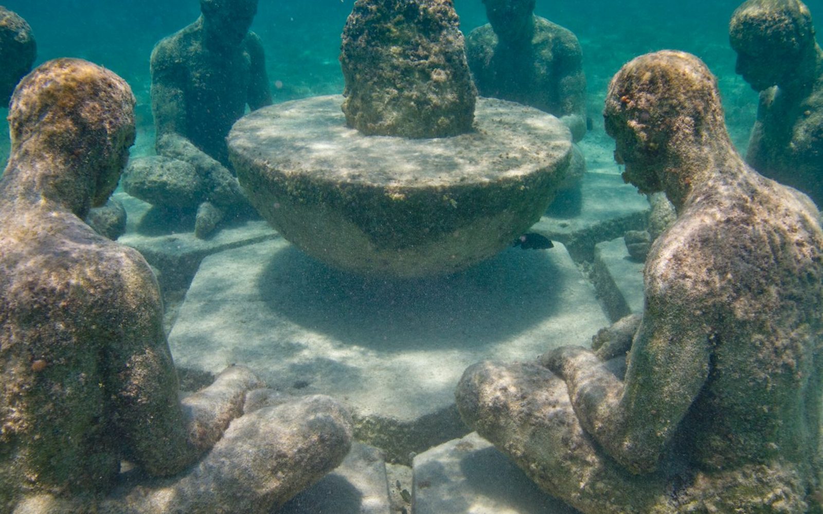 Cancún: MUSA Underwater Art Museum Glass-Bottomed Boat Tour with Drink