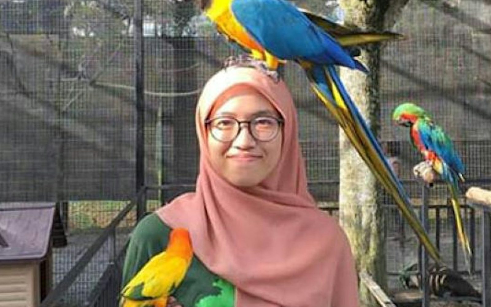 G2G Animal Garden: Entry Ticket