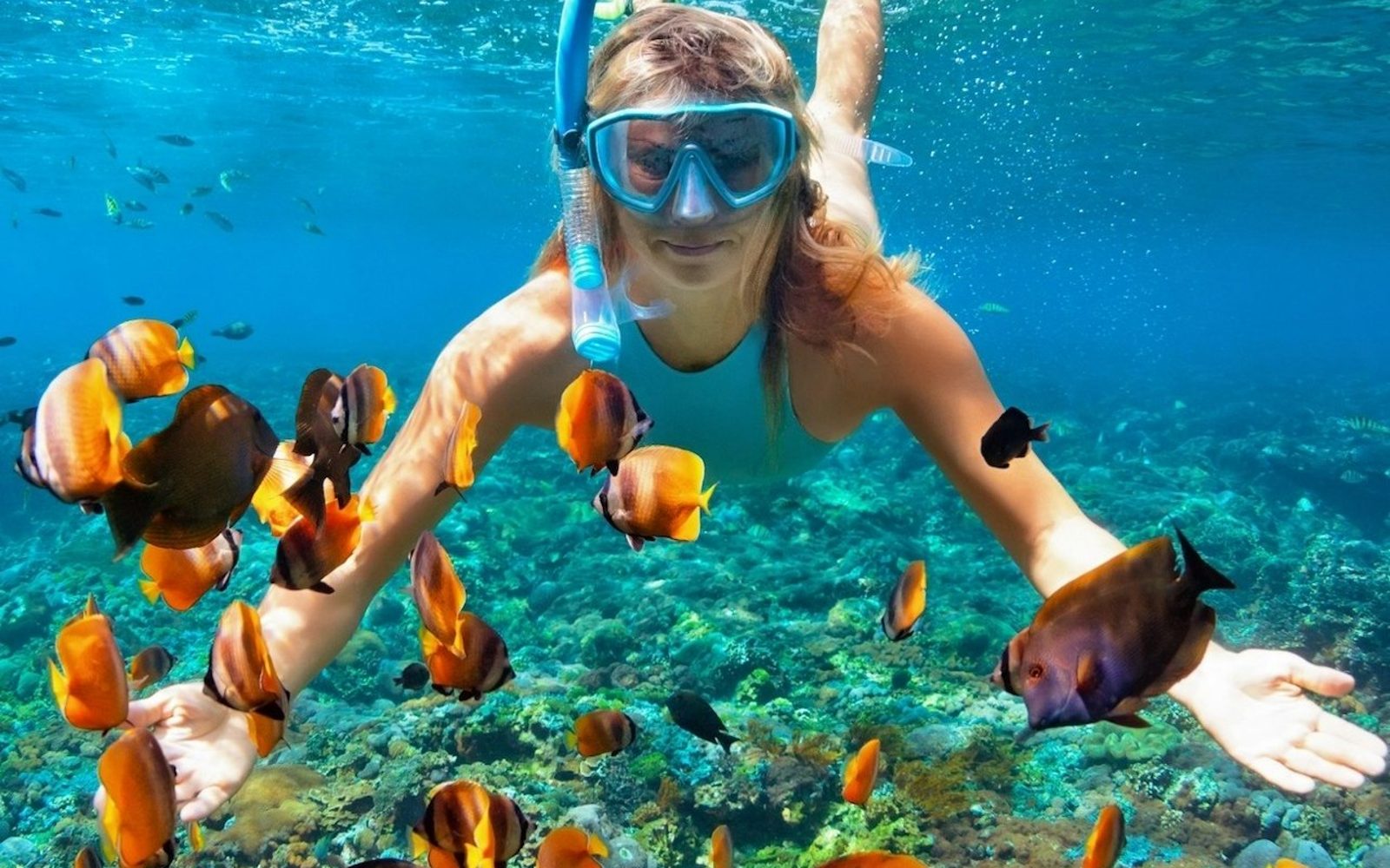 Kealakekua Bay: Ocean Safari Snorkel, Dolphin & Whale Watching