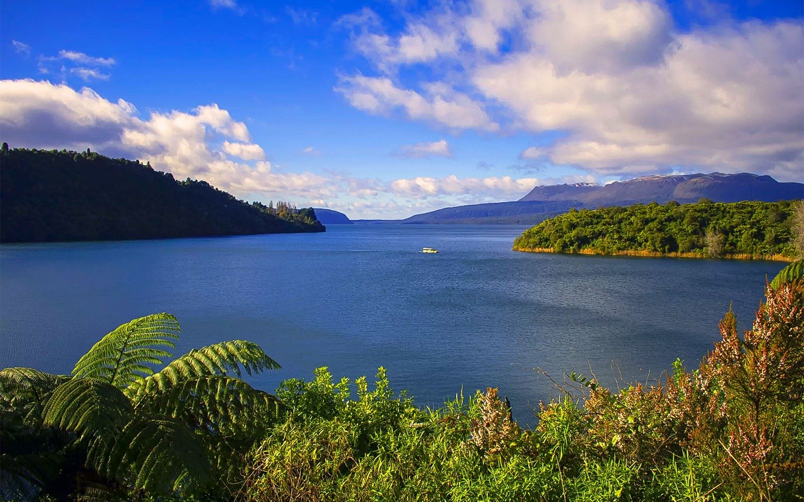 Visite Écologique de Tarawera et des Lacs