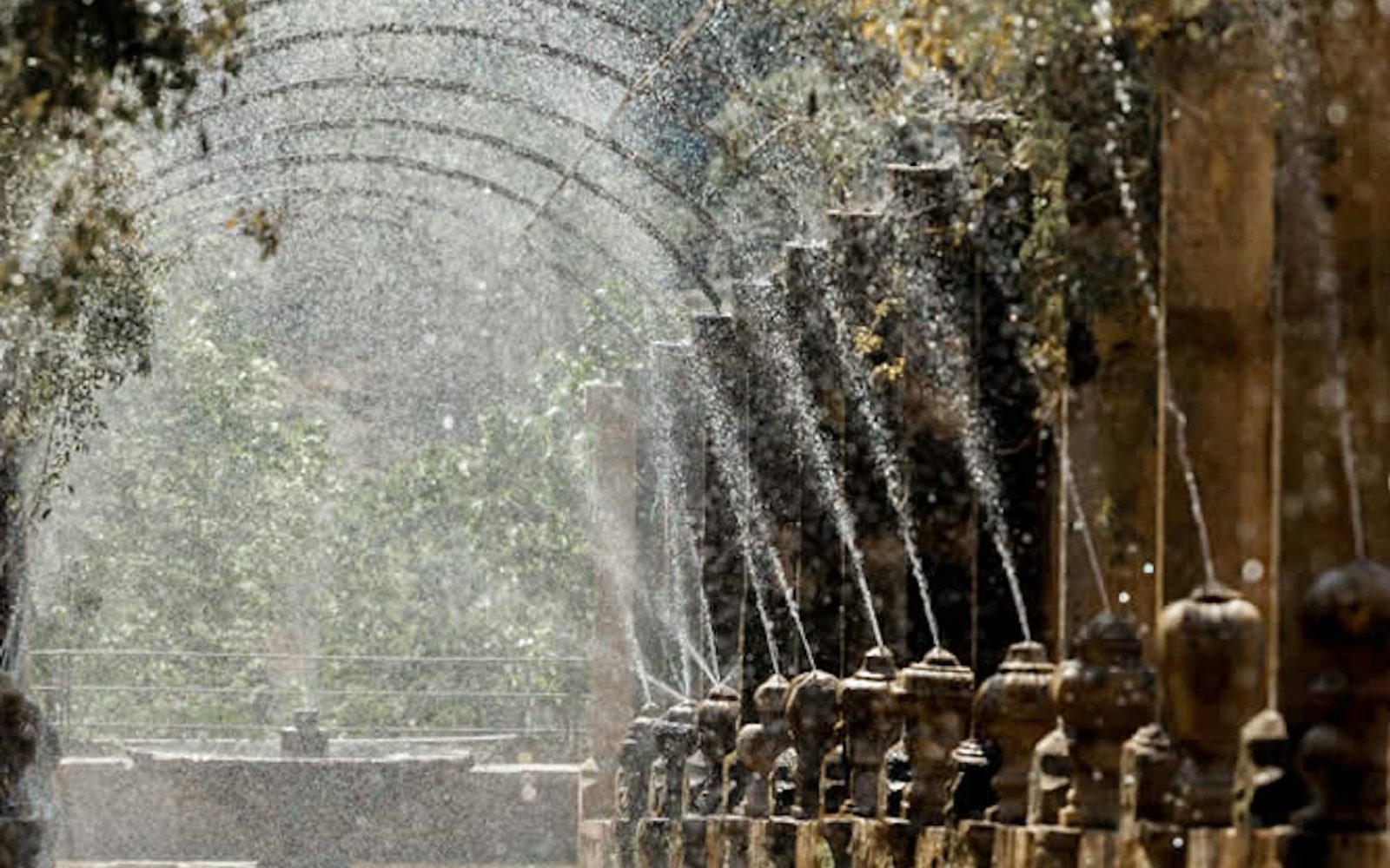 Jardines de Alfabia: Skip The Line Ticket