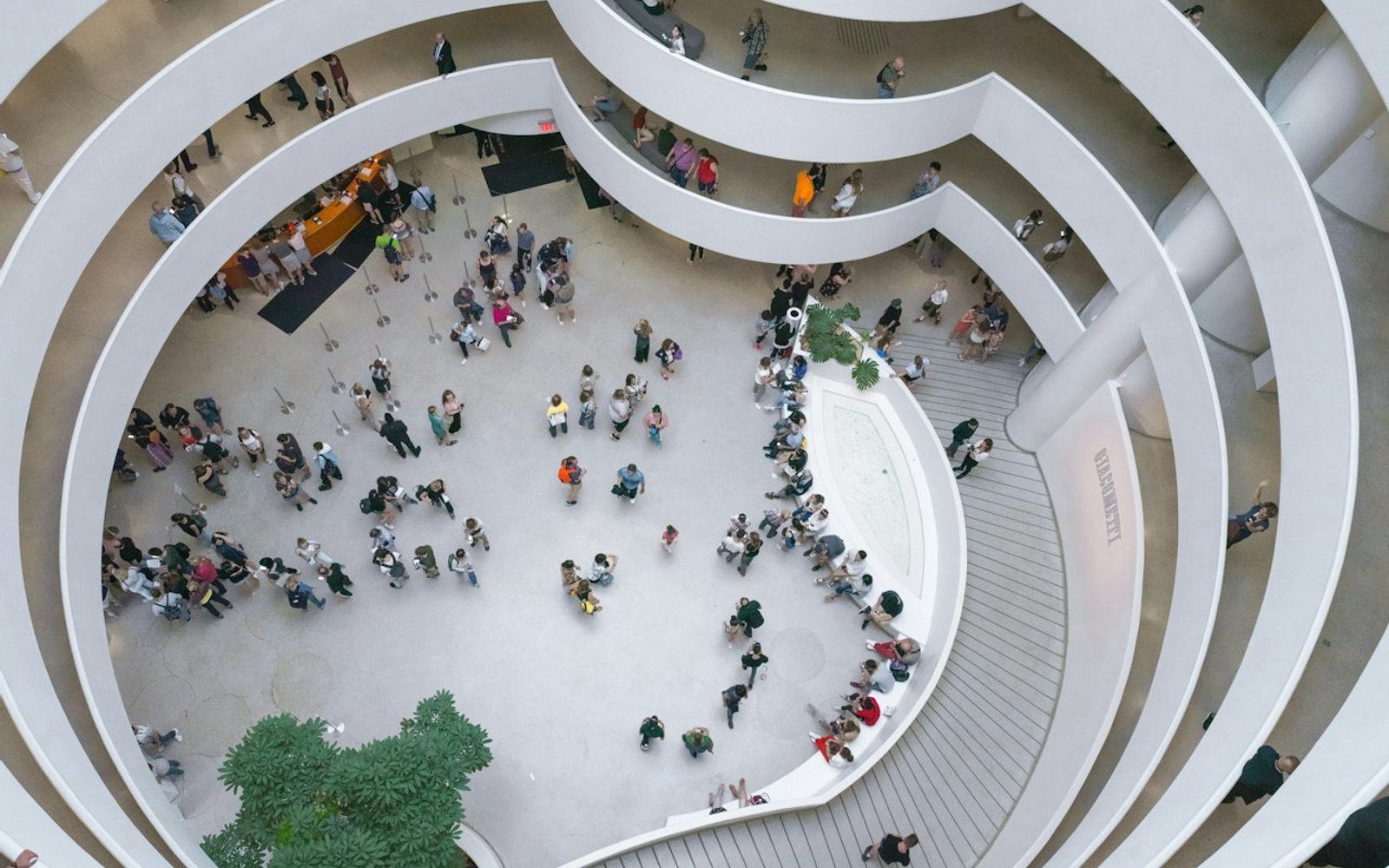 The Guggenheim: Entry Ticket