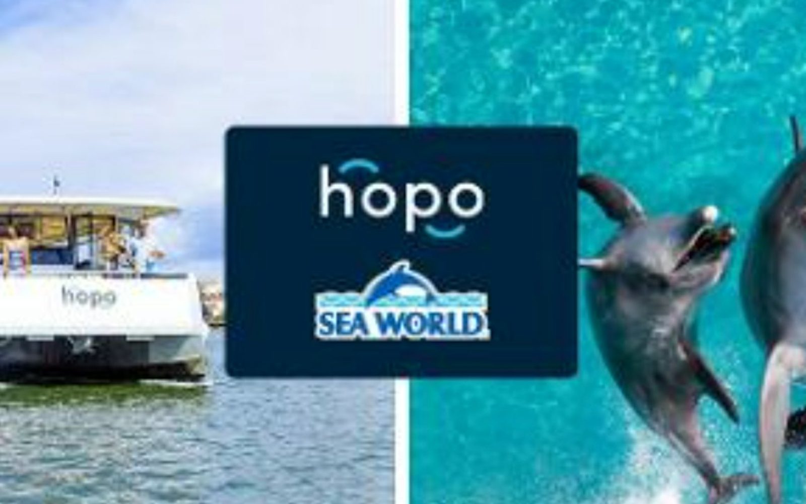 Sea World Gold Coast: Entry Ticket + Roundtrip Ferry