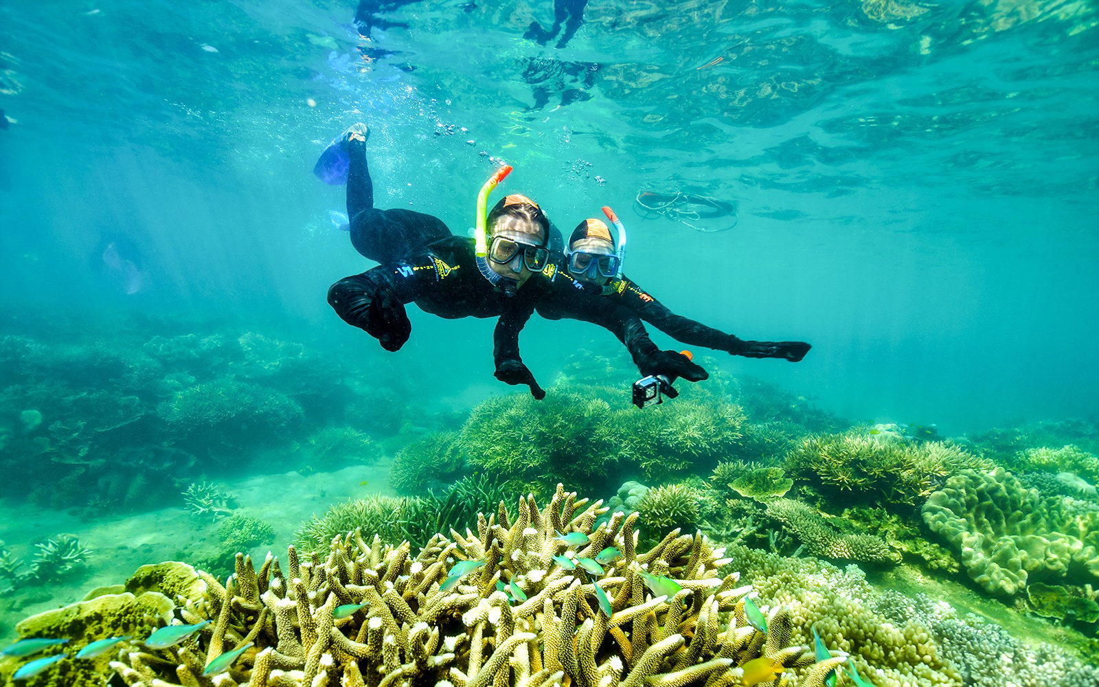 From Cairns: 2 Islands in 1 Day Trip of Fitzroy & Green Islands