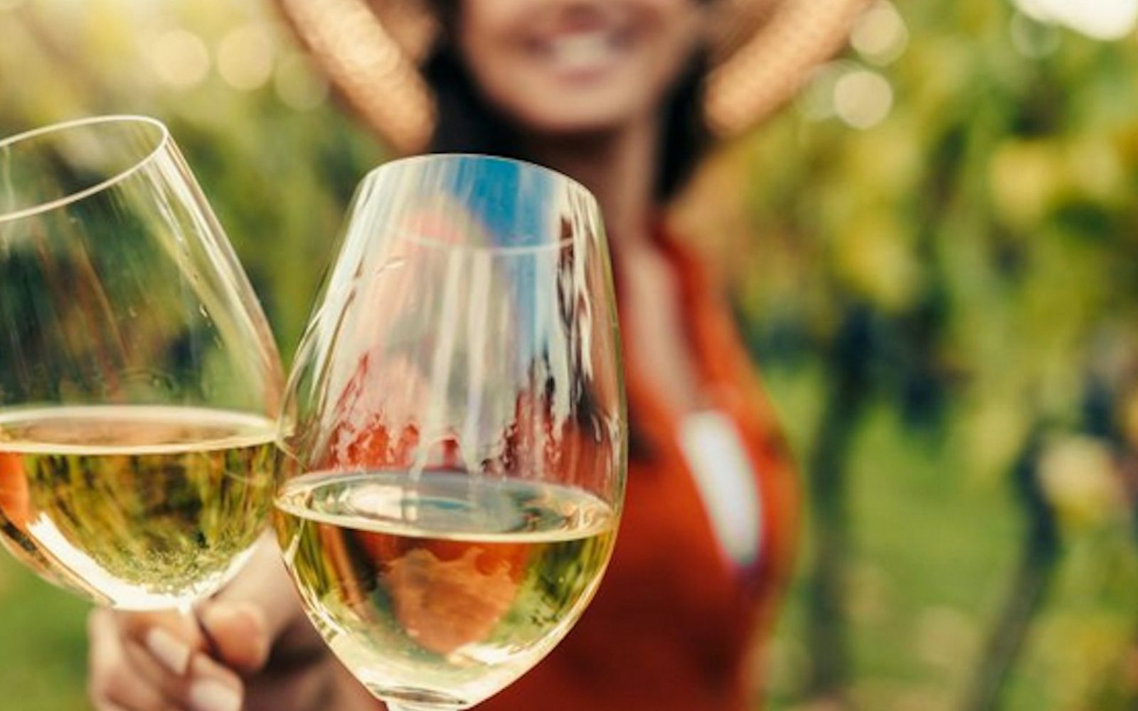 San Francisco Woods And Wine Tour