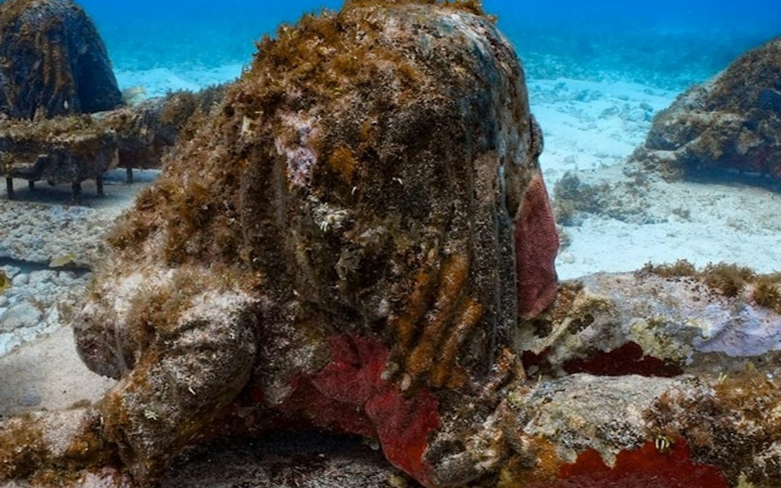 Cancún Underwater Art Museum and Manchones Coral Reef: Snorkeling Tour