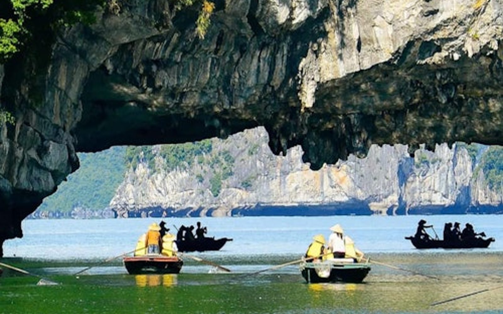 Ha Long Bay: Day Cruise + Transfers + Lunch