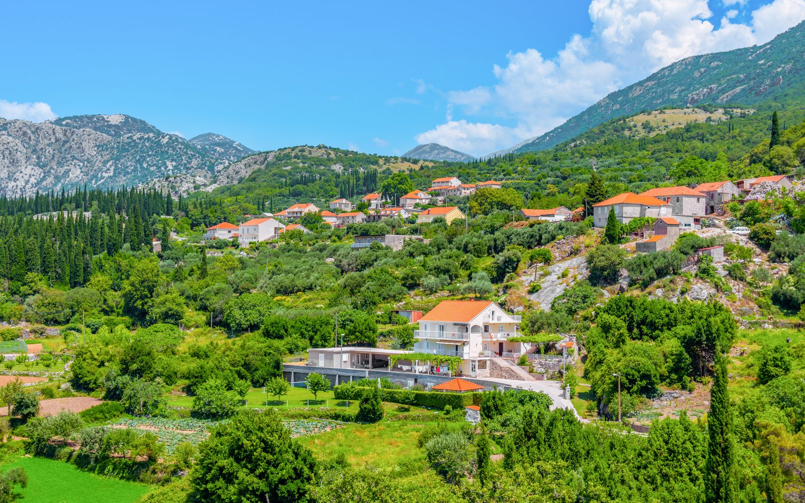 From Dubrovnik: Konavle Valley & Falcon Fortress Tour with Traditional Lunch