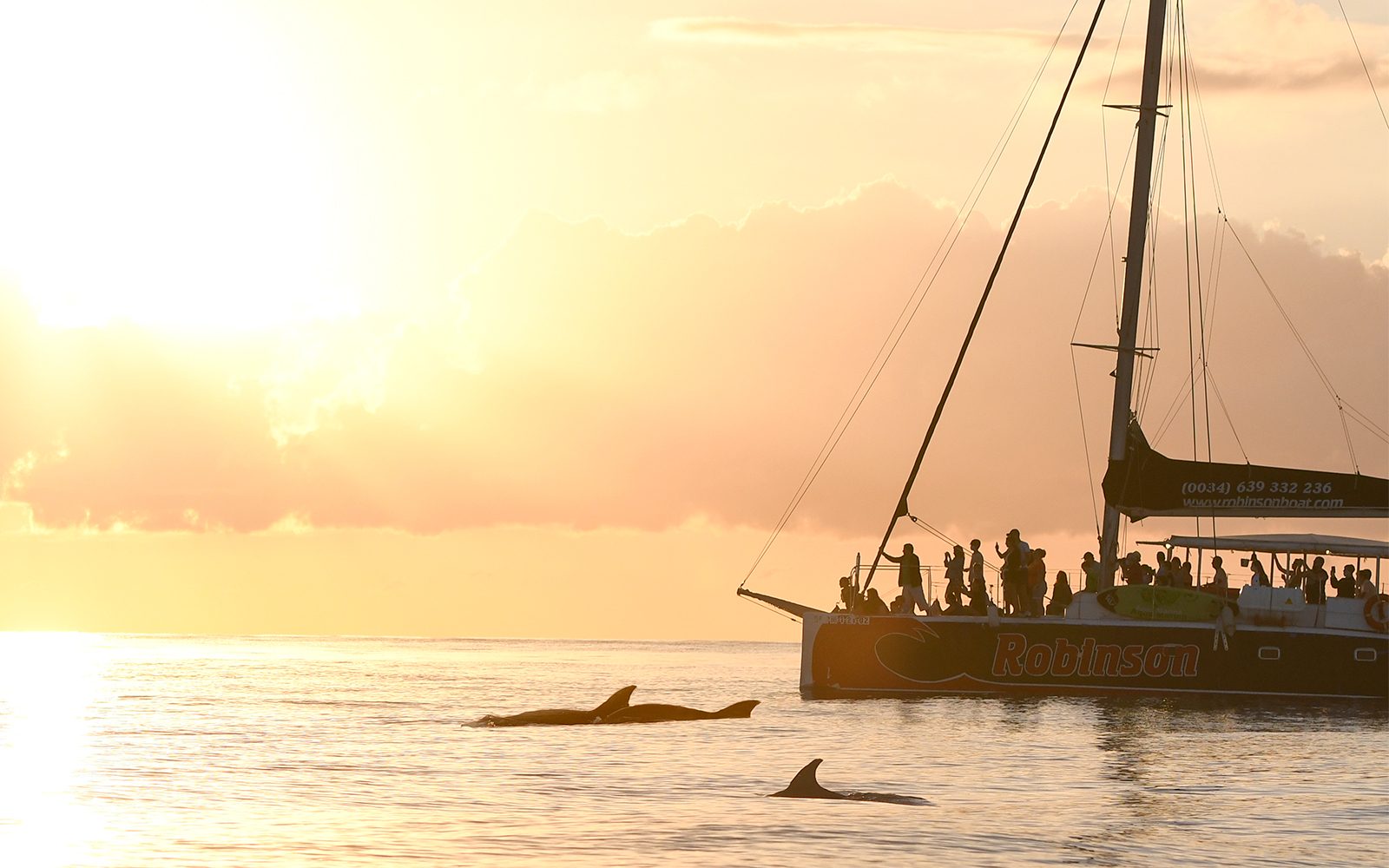 Mallorca Sunrise and Dolphin Watching Catamaran