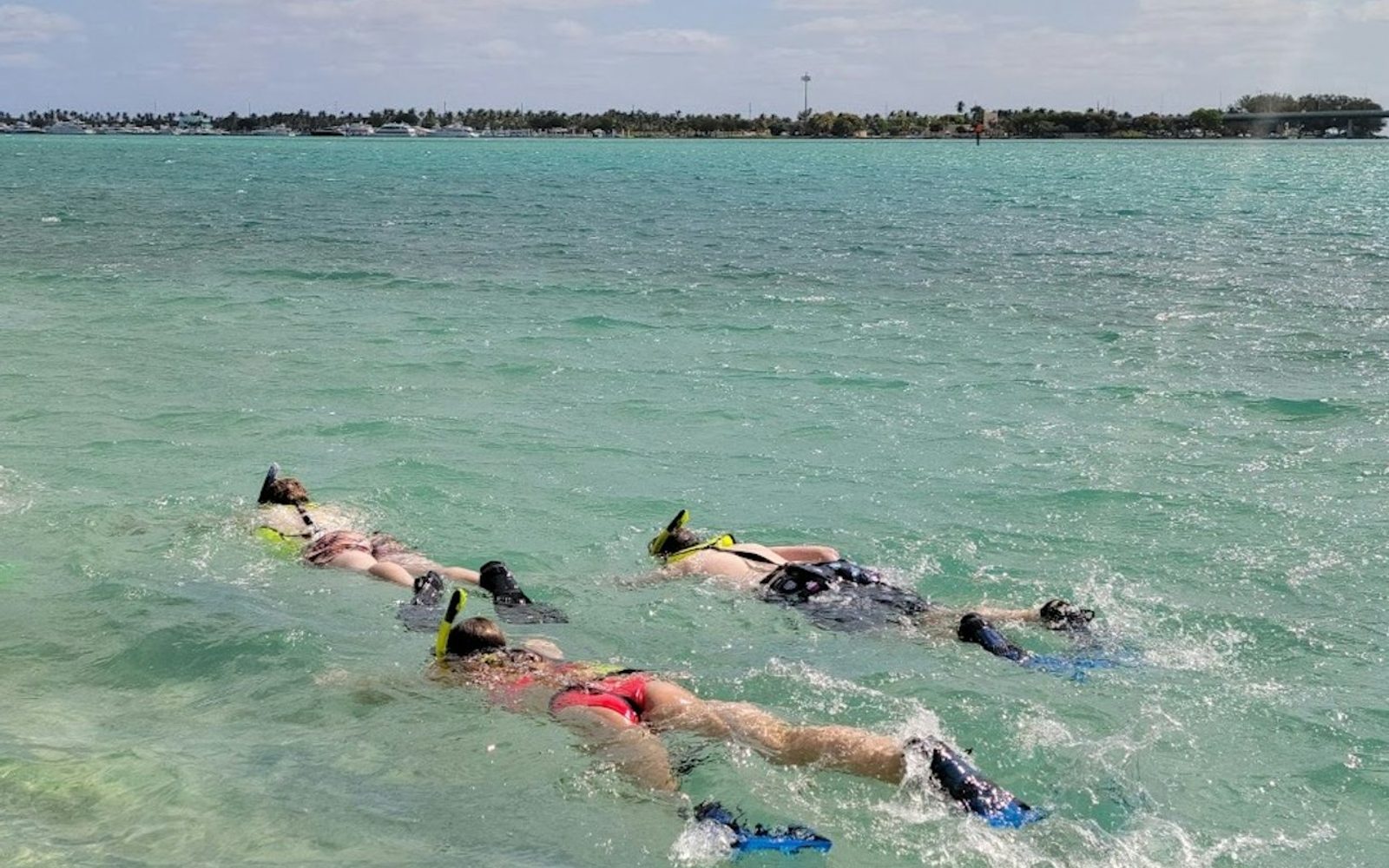Miami: Island Snorkeling Tour by SUP or Kayak