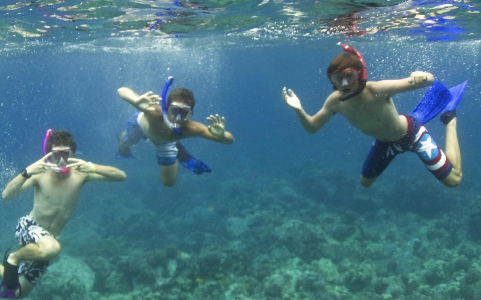 Kealakekua Bay and Captain Cook: Snorkeling Experience