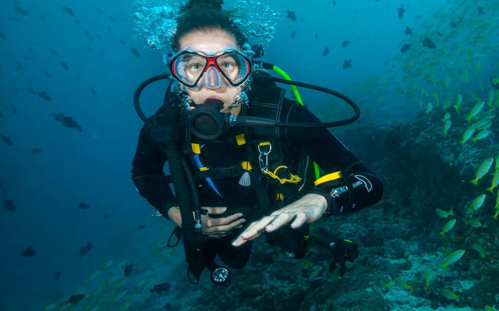 Beginner Scuba Diving Tour with Videos