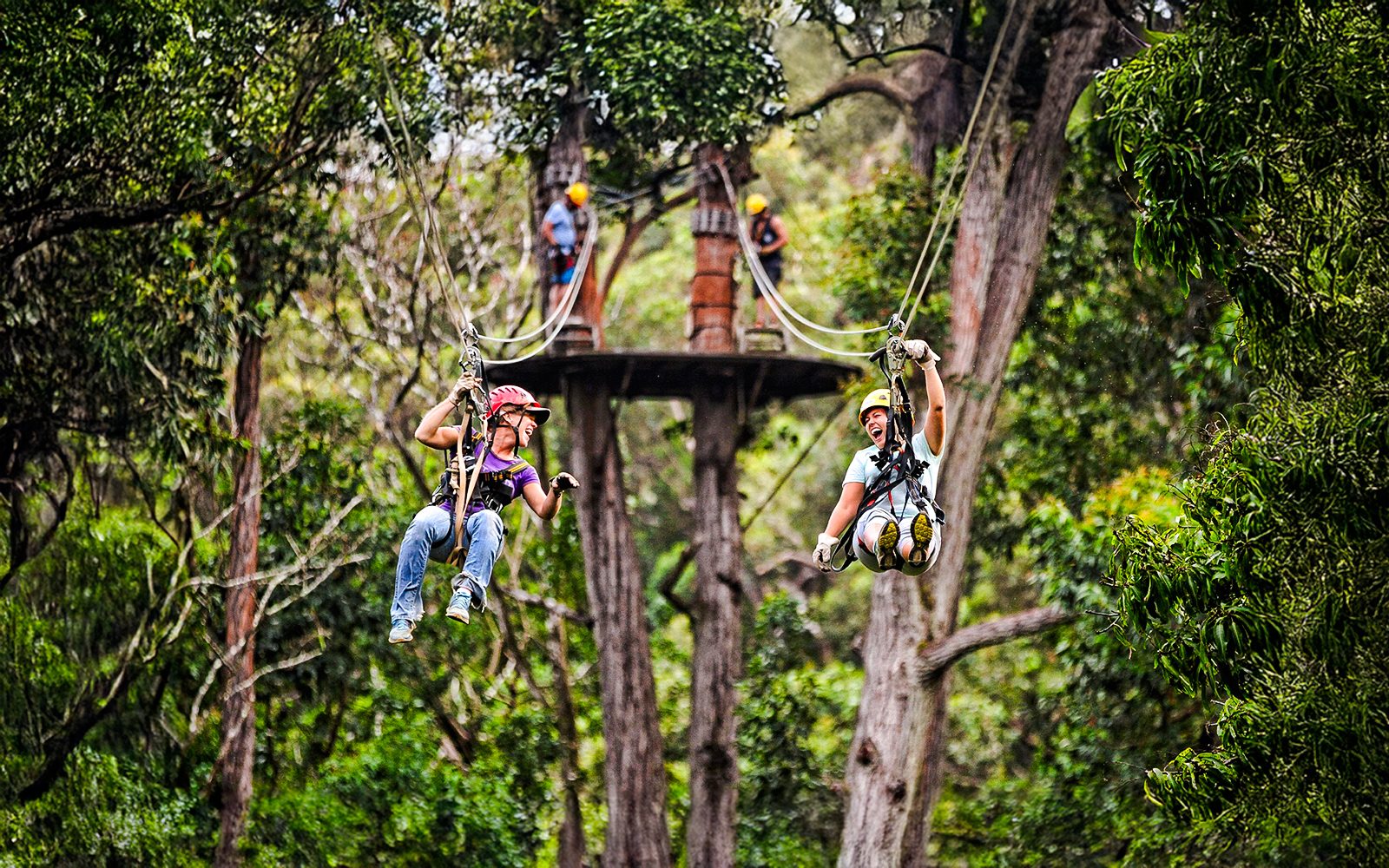Big Island: Kohala Waterfalls and Canopy Zip & Dip Tour