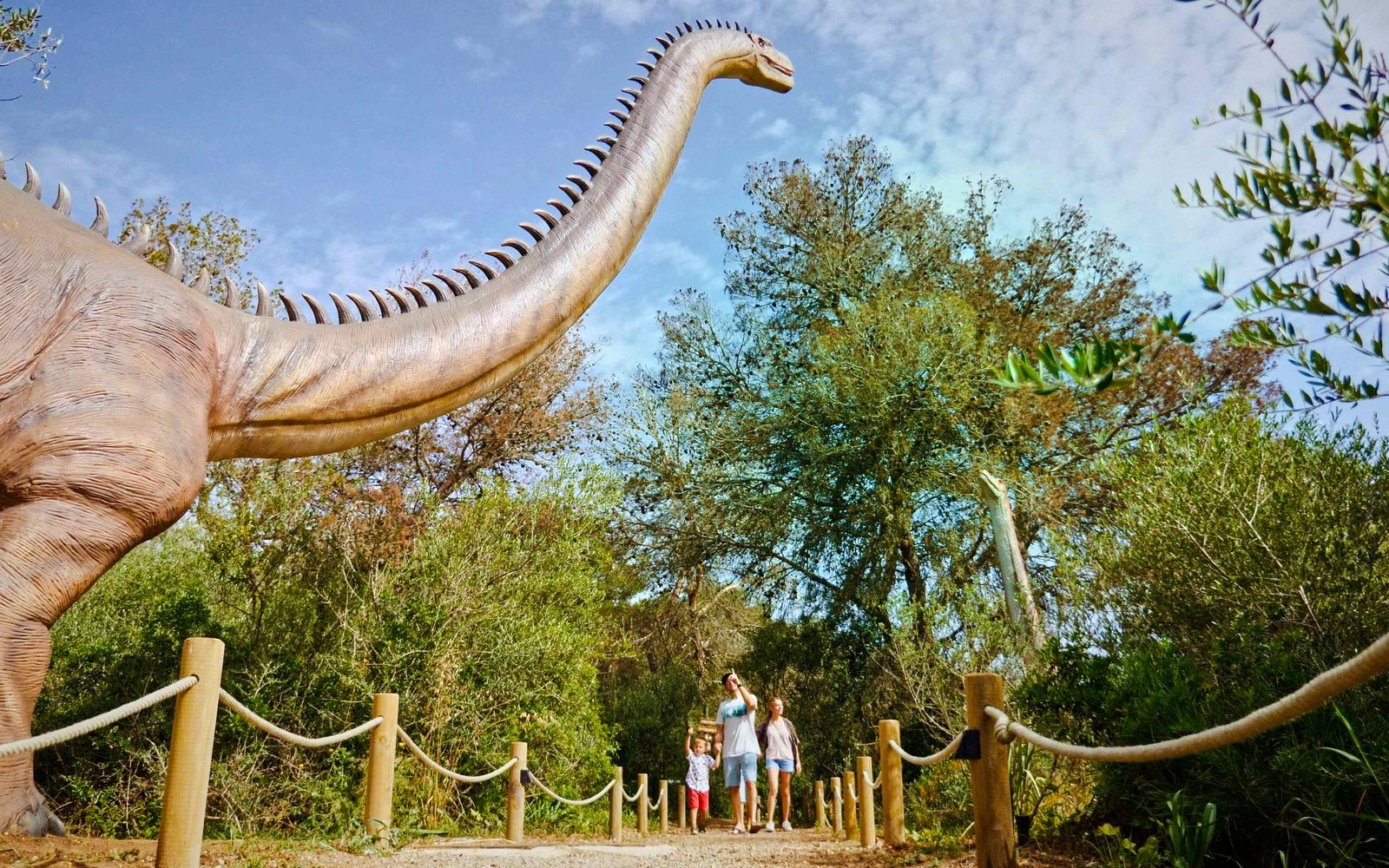 From Alcúdia: Hams' Caves Half-Day Trip with Dinosaurland
