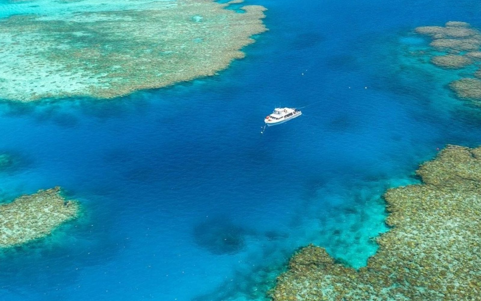 Great Barrier Reef & MOUA: Boat Tour + Snorkeling + Lunch