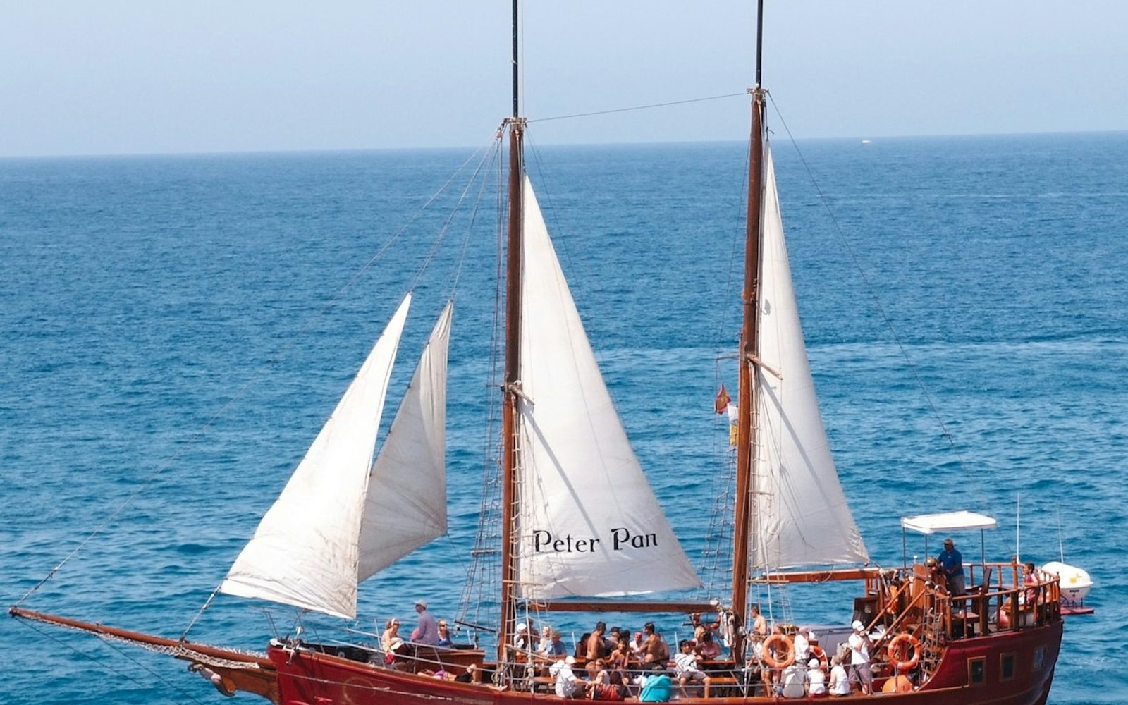 Los Cristianos: Guided Whale Watching Cruise