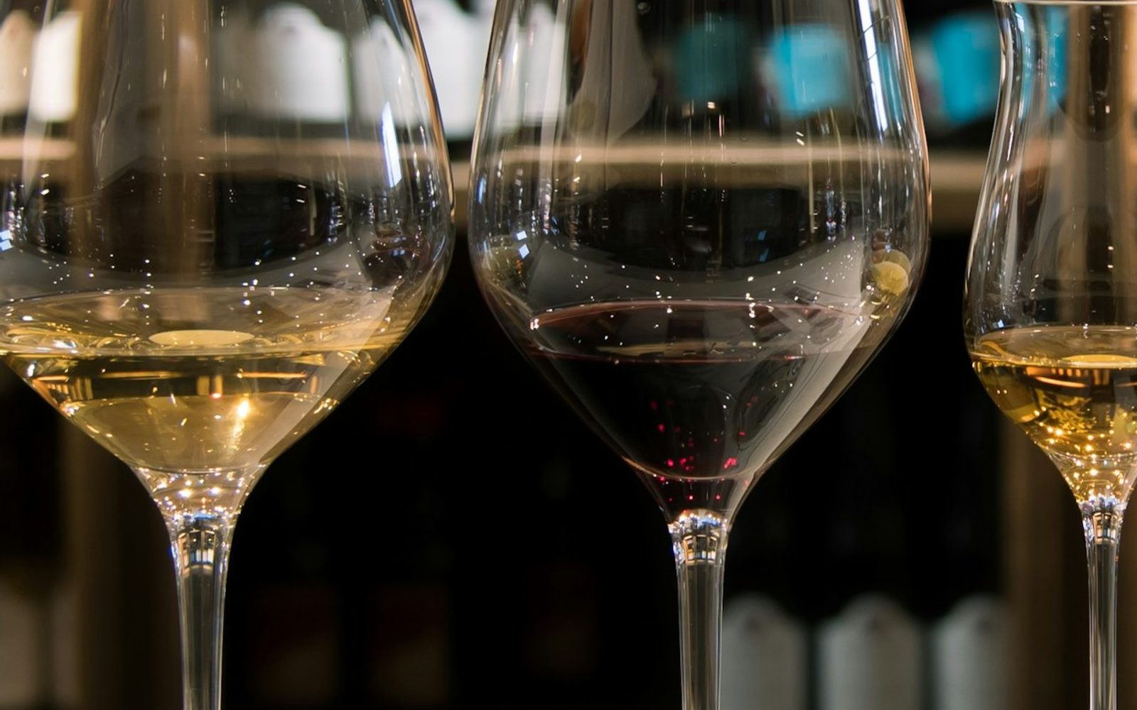 Reif Estate Winery: Premium Wine Tasting