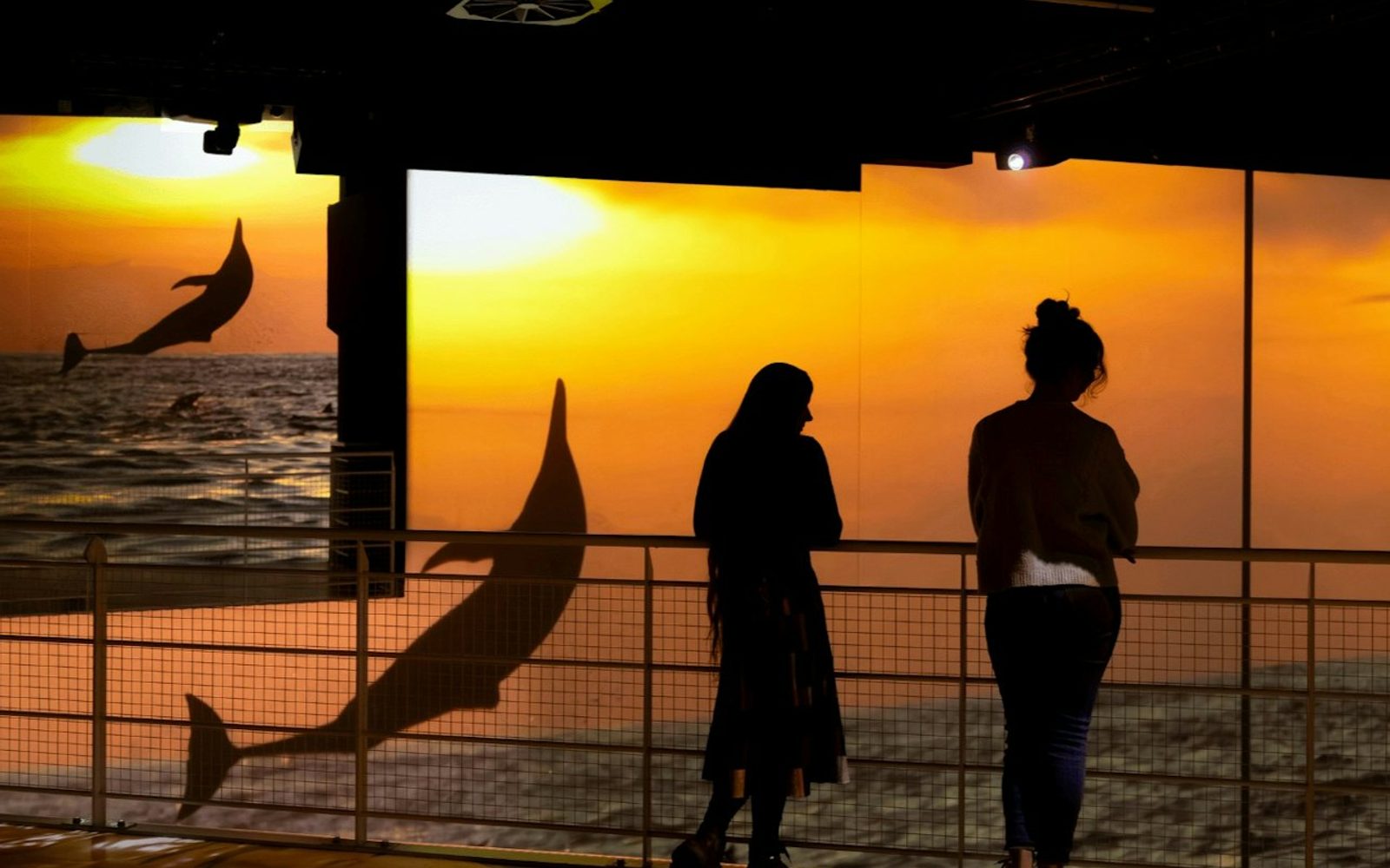 Port des Lumières: Ocean Wonders - An Immersive Dive Entry