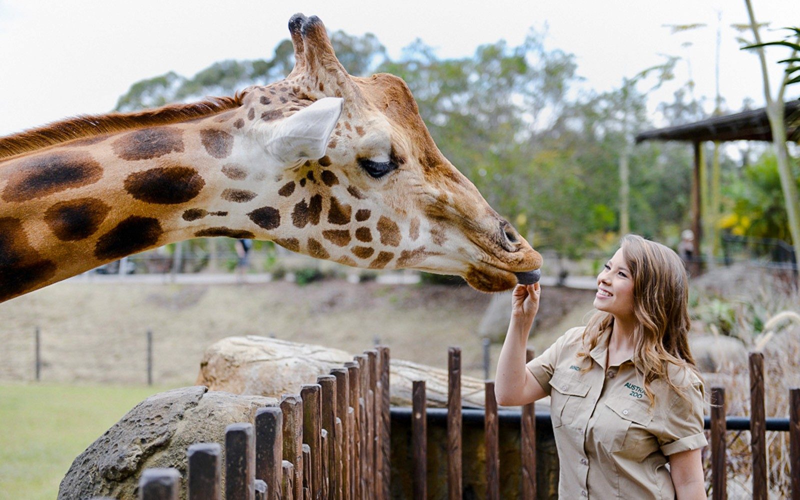 From Brisbane: Australia Zoo, Mooloolaba Beach & Surf Club Tour with Lunch & Drinks