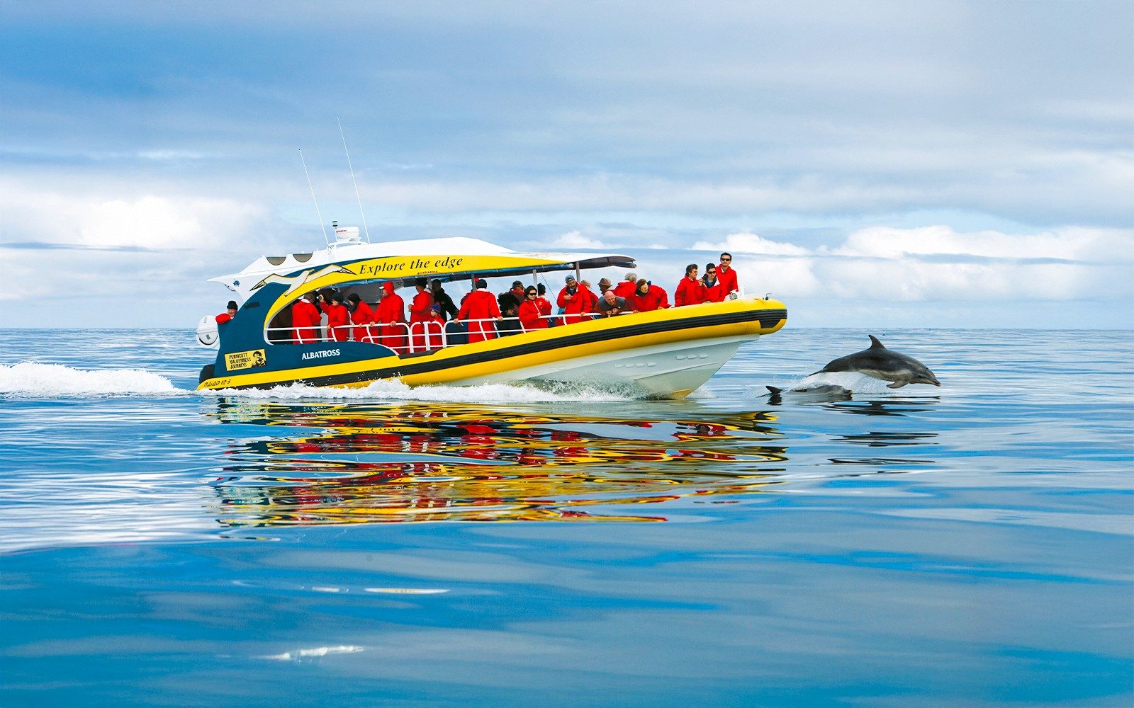 Da Hobart: Tour in autobus di un'intera giornata a Bruny Island con crociera nella natura selvaggia