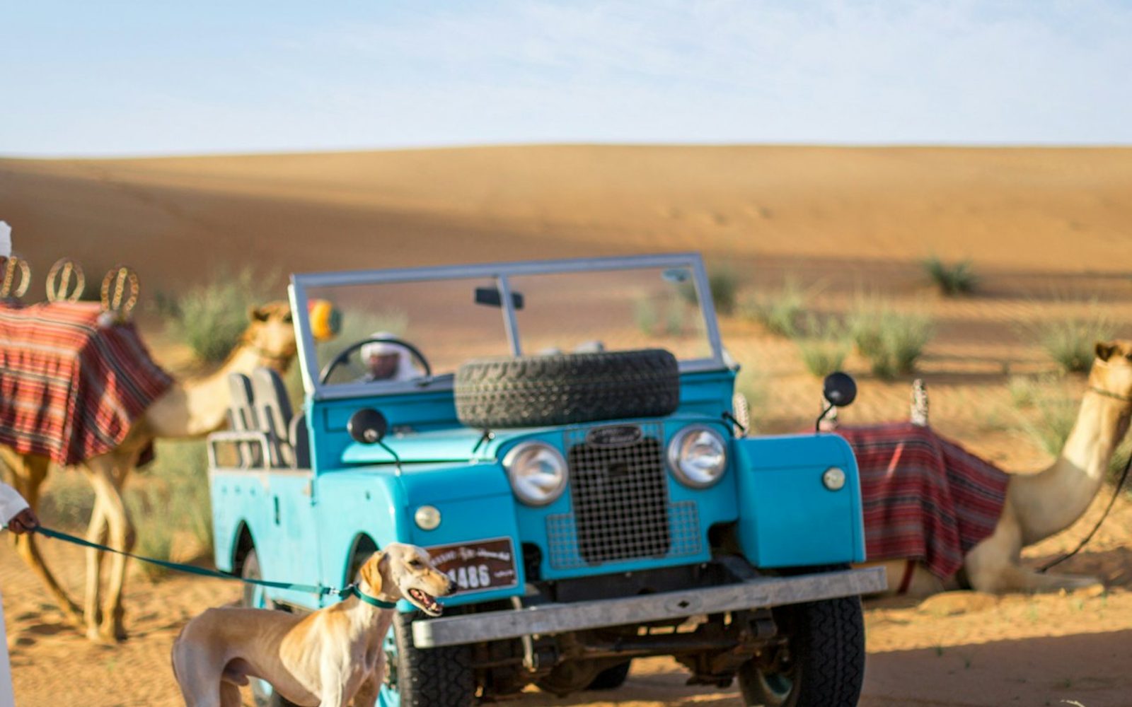 Dubai: Bedouin Culture Safari + Transfers + Breakfast