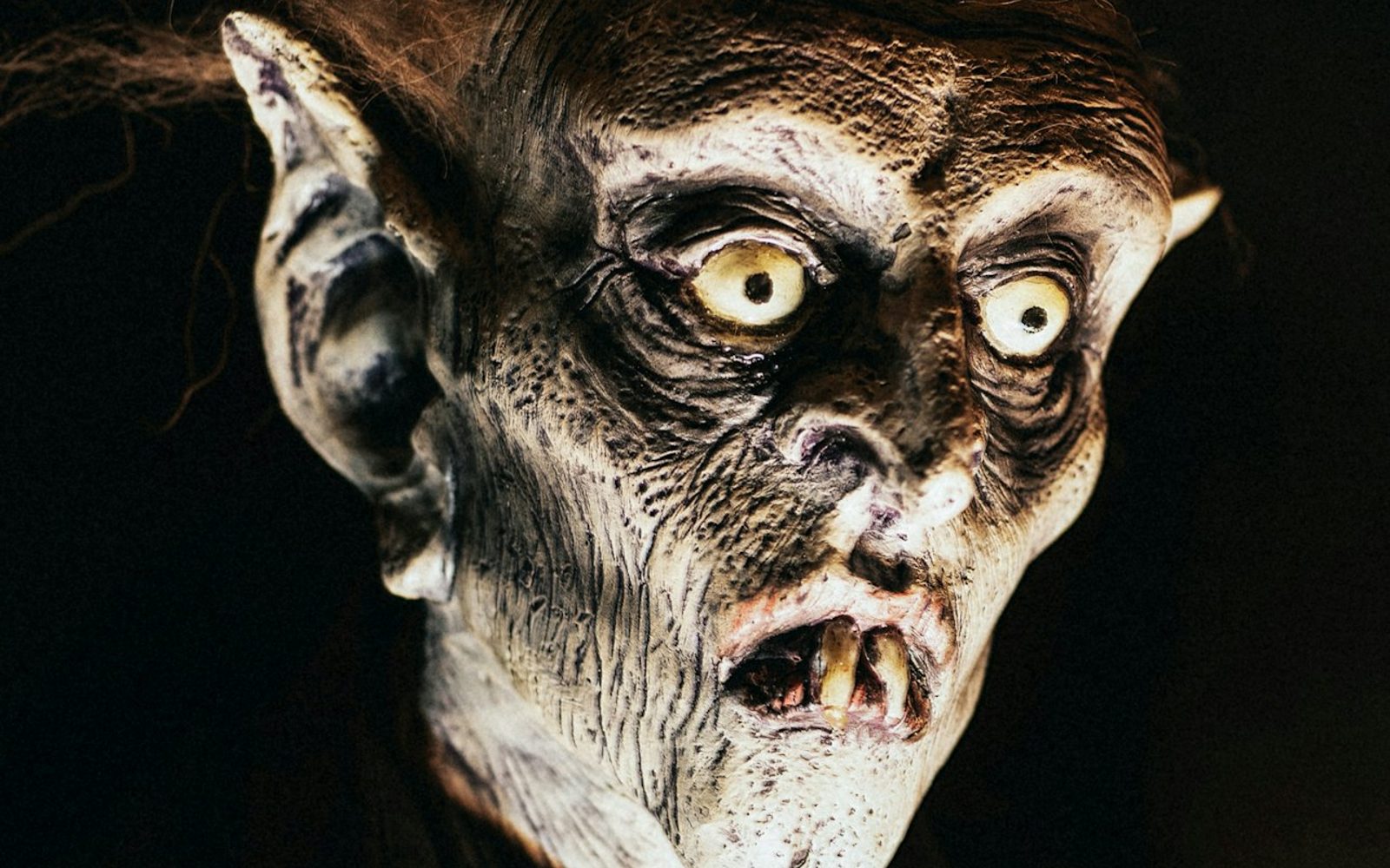 Tom Devlin's Monster Museum: Self Guided Tour