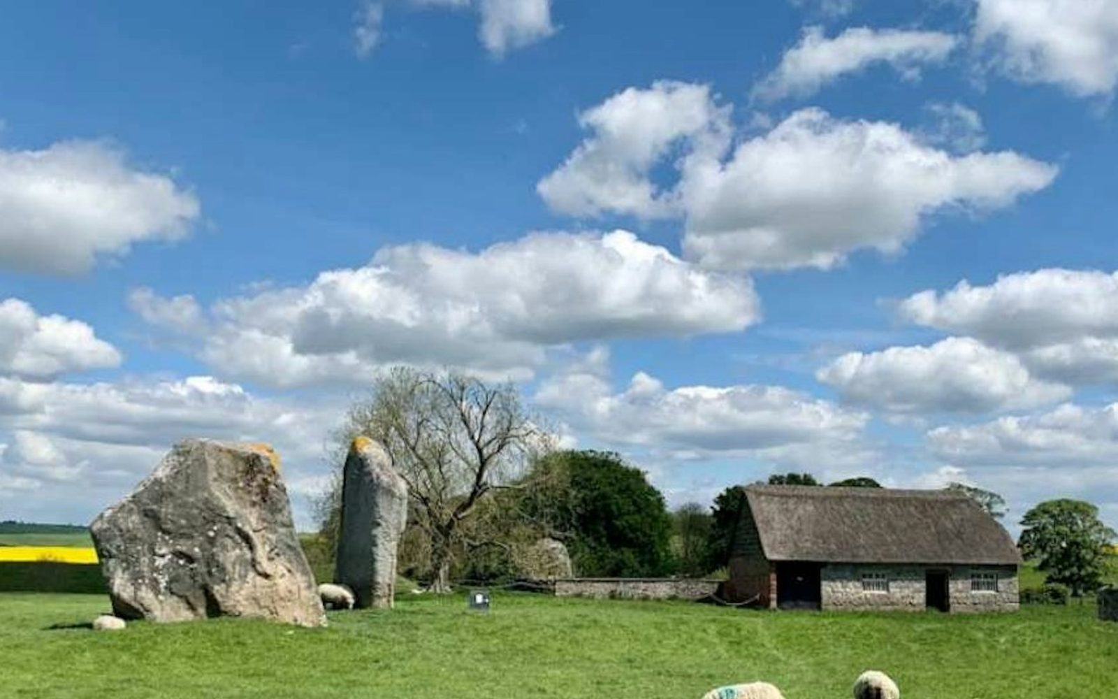 Stonehenge & Stone Circles of Avebury: Guided Day Trip from London