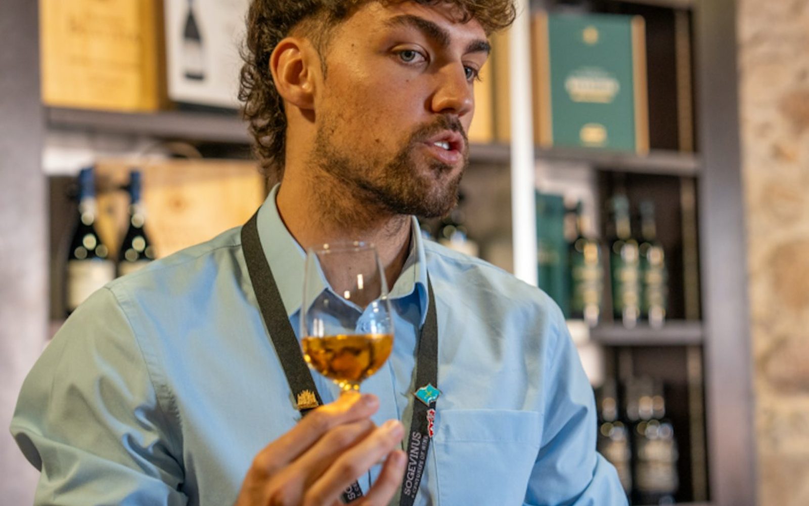 Porto City Tour Half-Day: Guided Visit with Wine Cellar and Tastings